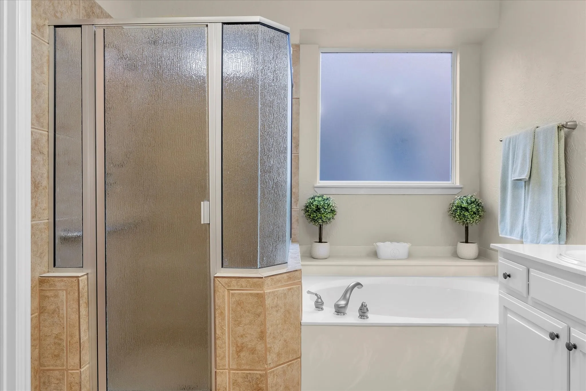 Generous shower with grab bars. Soaking tub