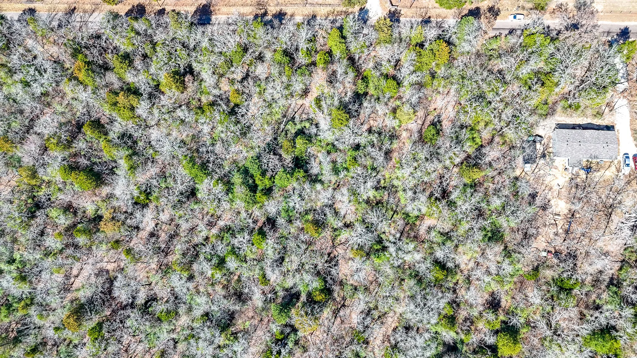 Unimproved Land For Sale in Freestone County , TBD lot 7 FCR 540, Fairfield, Texas 75840, 0, 0, Garage spaces, 0 Sqft, built in 0, Price $29,999, mls#21194762, Real Estate Agent in Fairfield, Homes For Sale in Freestone county, Homes For Sale in Fairfield, Realtor in Fairfield Texas, Real Estate Brokerage Independent Realty Texas, Luminita Cordes Realtor