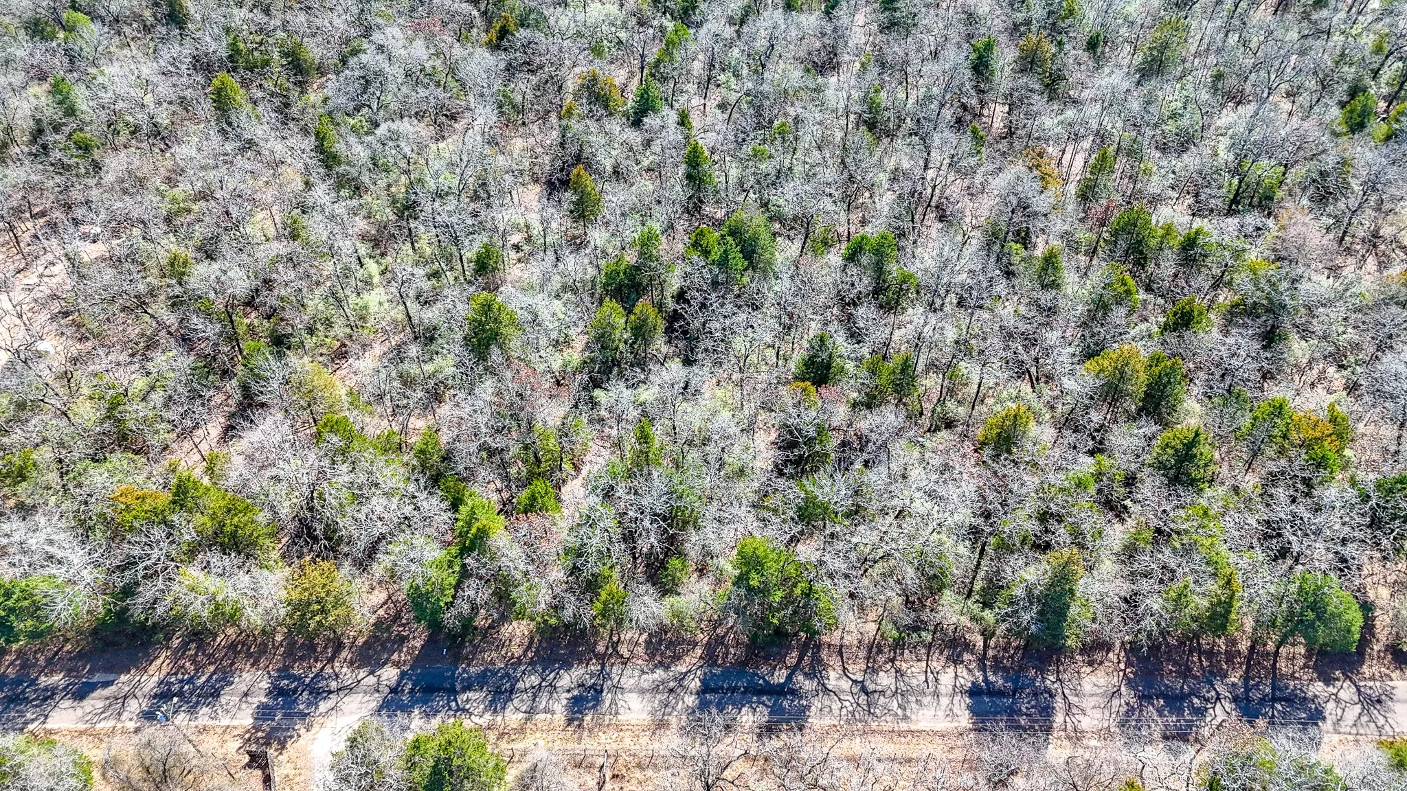 Unimproved Land For Sale in Freestone County , TBD lot 7 FCR 540, Fairfield, Texas 75840, 0, 0, Garage spaces, 0 Sqft, built in 0, Price $29,999, mls#21194762, Real Estate Agent in Fairfield, Homes For Sale in Freestone county, Homes For Sale in Fairfield, Realtor in Fairfield Texas, Real Estate Brokerage Independent Realty Texas, Luminita Cordes Realtor