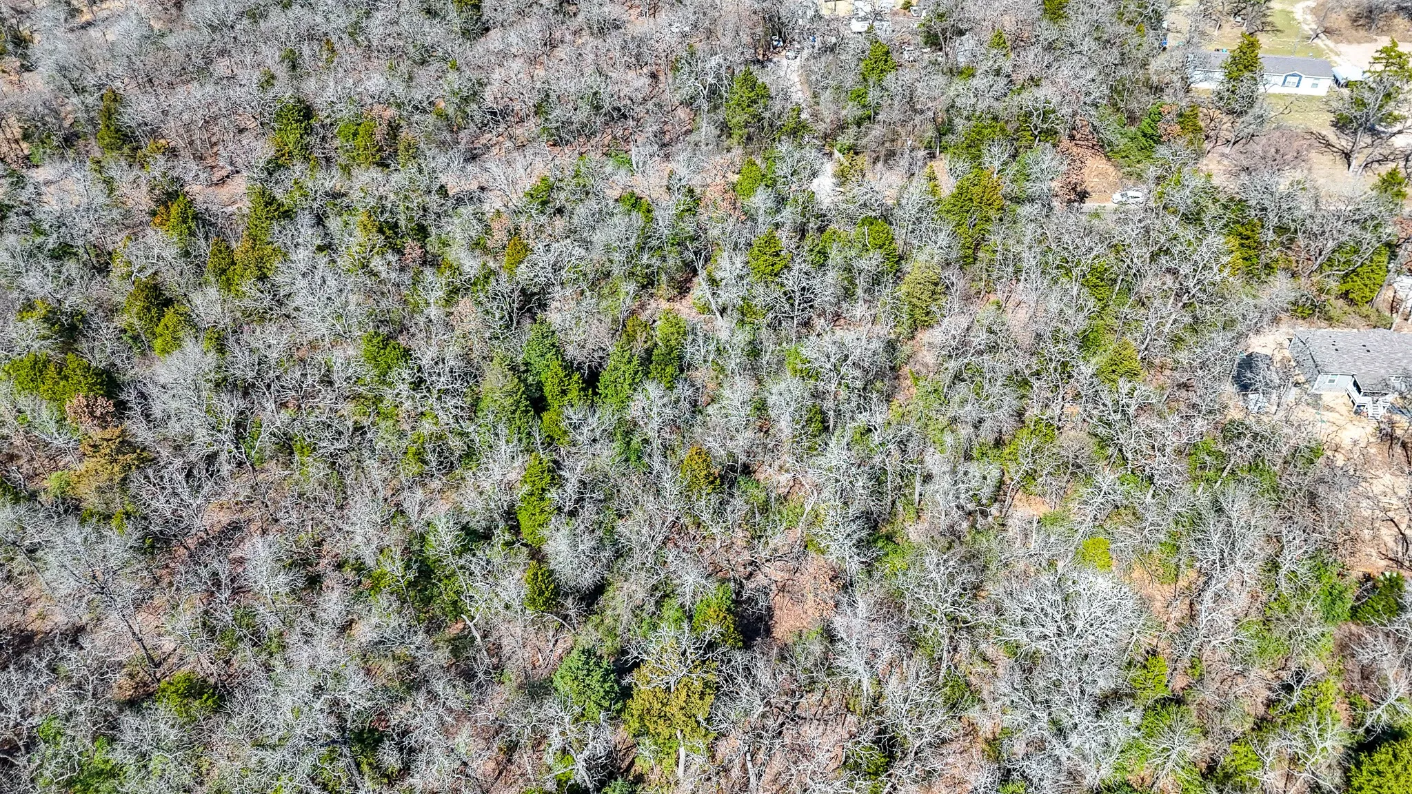 Unimproved Land For Sale in Freestone County , TBD lot 7 FCR 540, Fairfield, Texas 75840, 0, 0, Garage spaces, 0 Sqft, built in 0, Price $29,999, mls#21194762, Real Estate Agent in Fairfield, Homes For Sale in Freestone county, Homes For Sale in Fairfield, Realtor in Fairfield Texas, Real Estate Brokerage Independent Realty Texas, Luminita Cordes Realtor