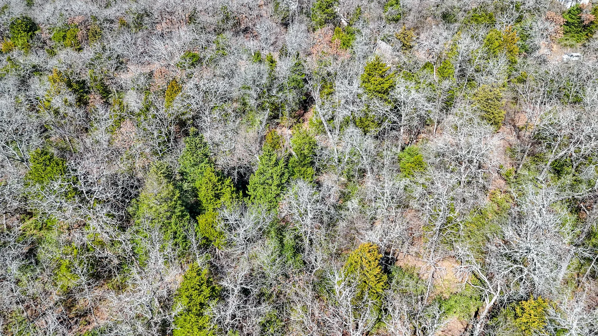 Unimproved Land For Sale in Freestone County , TBD lot 7 FCR 540, Fairfield, Texas 75840, 0, 0, Garage spaces, 0 Sqft, built in 0, Price $29,999, mls#21194762, Real Estate Agent in Fairfield, Homes For Sale in Freestone county, Homes For Sale in Fairfield, Realtor in Fairfield Texas, Real Estate Brokerage Independent Realty Texas, Luminita Cordes Realtor