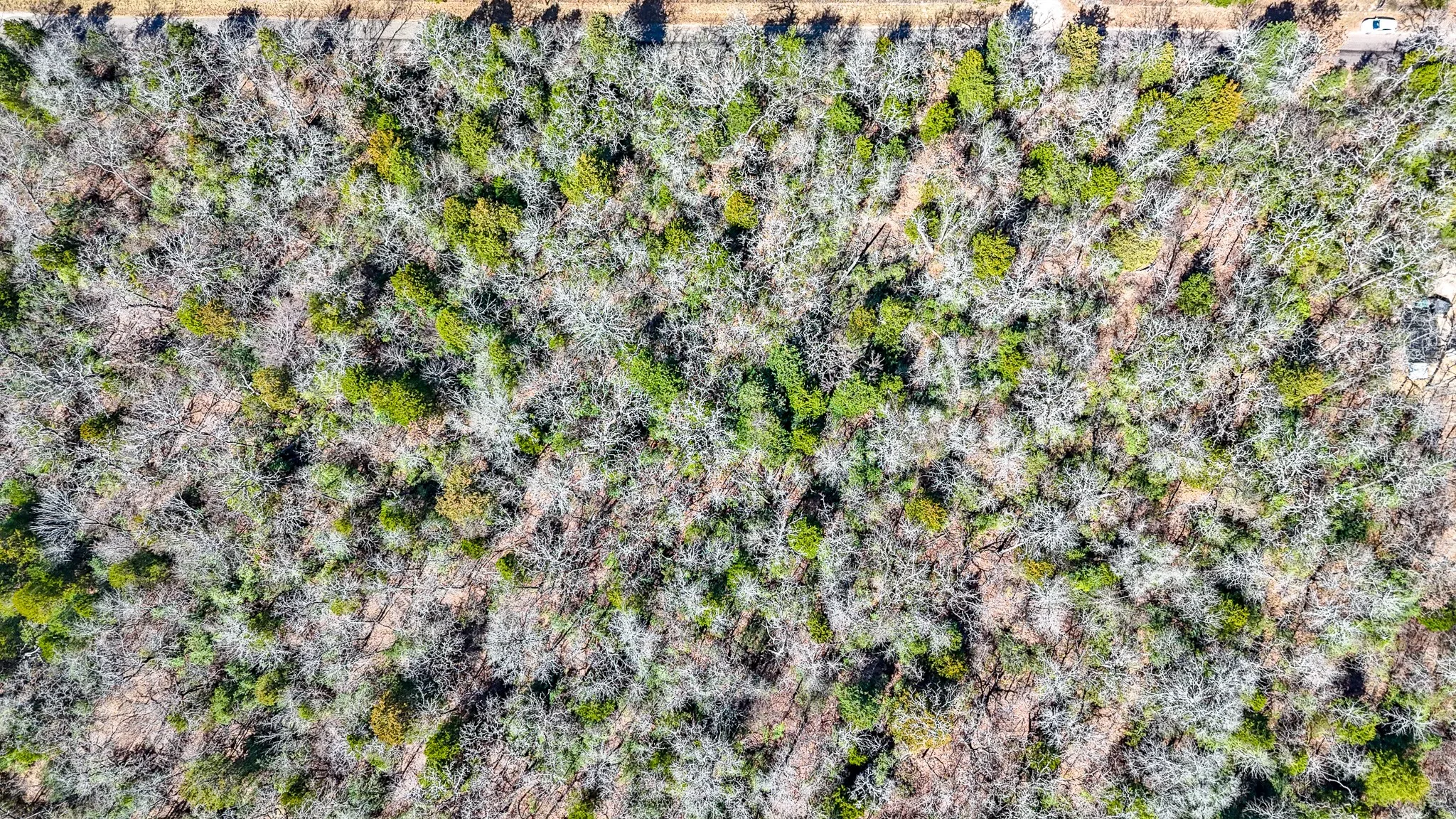 Unimproved Land For Sale in Freestone County , TBD lot 7 FCR 540, Fairfield, Texas 75840, 0, 0, Garage spaces, 0 Sqft, built in 0, Price $29,999, mls#21194762, Real Estate Agent in Fairfield, Homes For Sale in Freestone county, Homes For Sale in Fairfield, Realtor in Fairfield Texas, Real Estate Brokerage Independent Realty Texas, Luminita Cordes Realtor