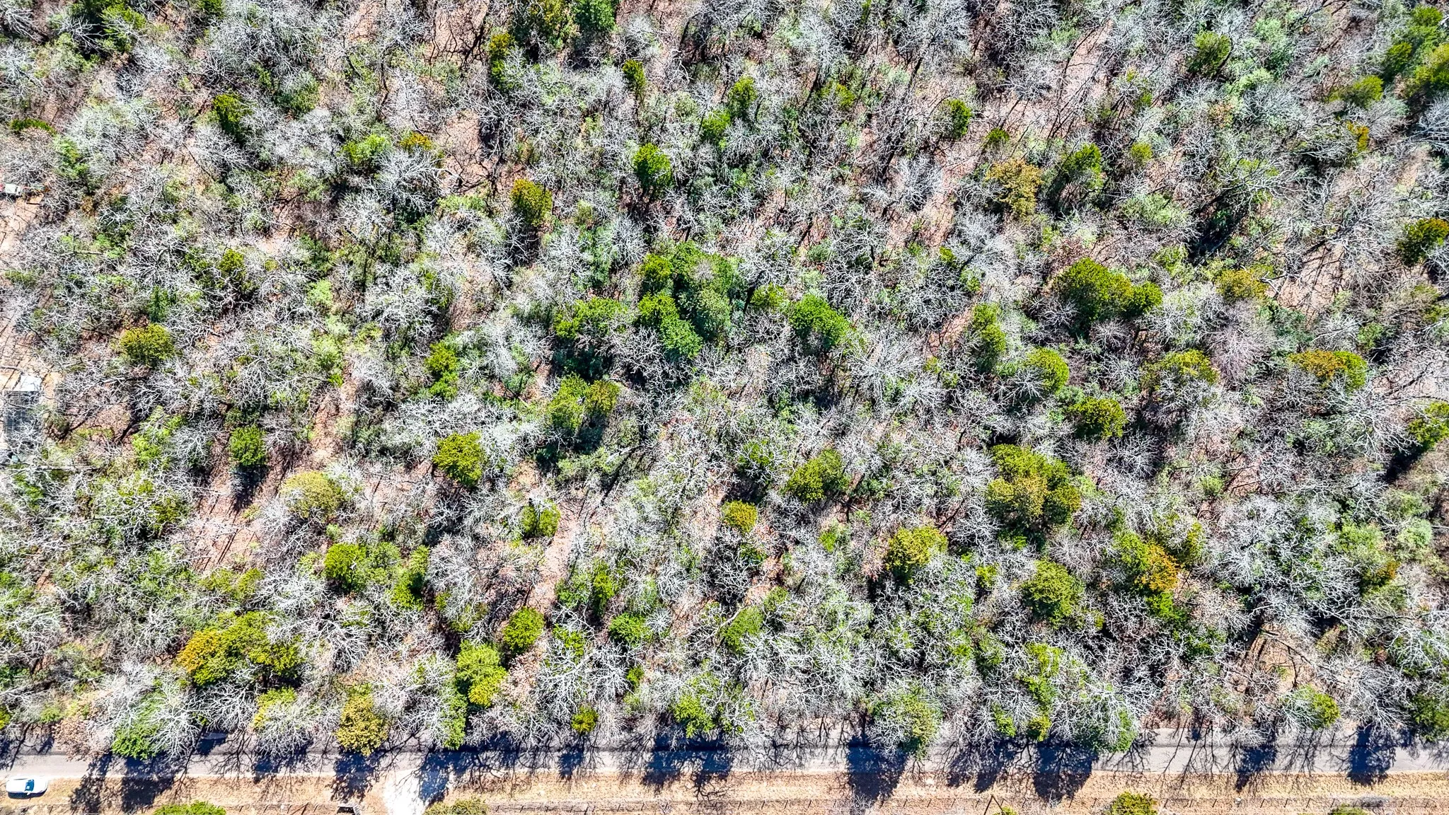 Unimproved Land For Sale in Freestone County , TBD lot 7 FCR 540, Fairfield, Texas 75840, 0, 0, Garage spaces, 0 Sqft, built in 0, Price $29,999, mls#21194762, Real Estate Agent in Fairfield, Homes For Sale in Freestone county, Homes For Sale in Fairfield, Realtor in Fairfield Texas, Real Estate Brokerage Independent Realty Texas, Luminita Cordes Realtor