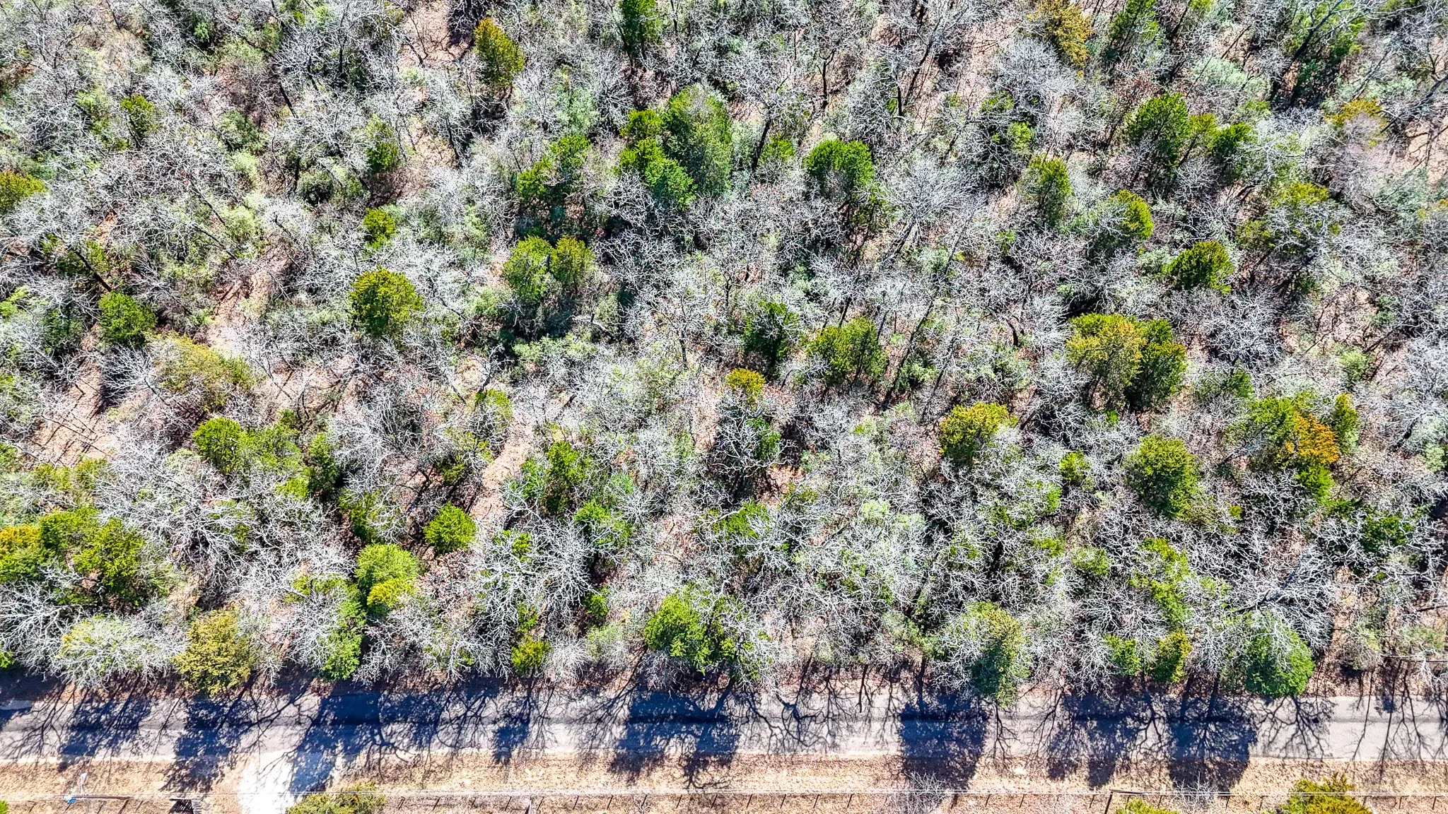 Unimproved Land For Sale in Freestone County , TBD lot 7 FCR 540, Fairfield, Texas 75840, 0, 0, Garage spaces, 0 Sqft, built in 0, Price $29,999, mls#21194762, Real Estate Agent in Fairfield, Homes For Sale in Freestone county, Homes For Sale in Fairfield, Realtor in Fairfield Texas, Real Estate Brokerage Independent Realty Texas, Luminita Cordes Realtor