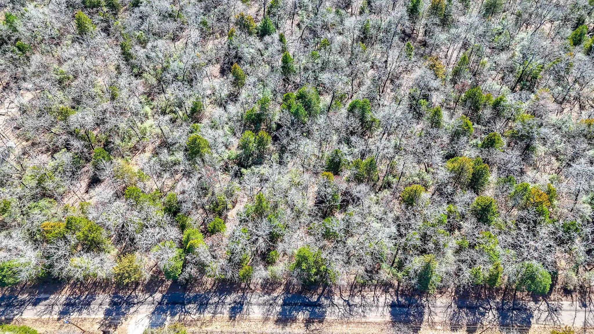 Unimproved Land For Sale in Freestone County , TBD lot 7 FCR 540, Fairfield, Texas 75840, 0, 0, Garage spaces, 0 Sqft, built in 0, Price $29,999, mls#21194762, Real Estate Agent in Fairfield, Homes For Sale in Freestone county, Homes For Sale in Fairfield, Realtor in Fairfield Texas, Real Estate Brokerage Independent Realty Texas, Luminita Cordes Realtor