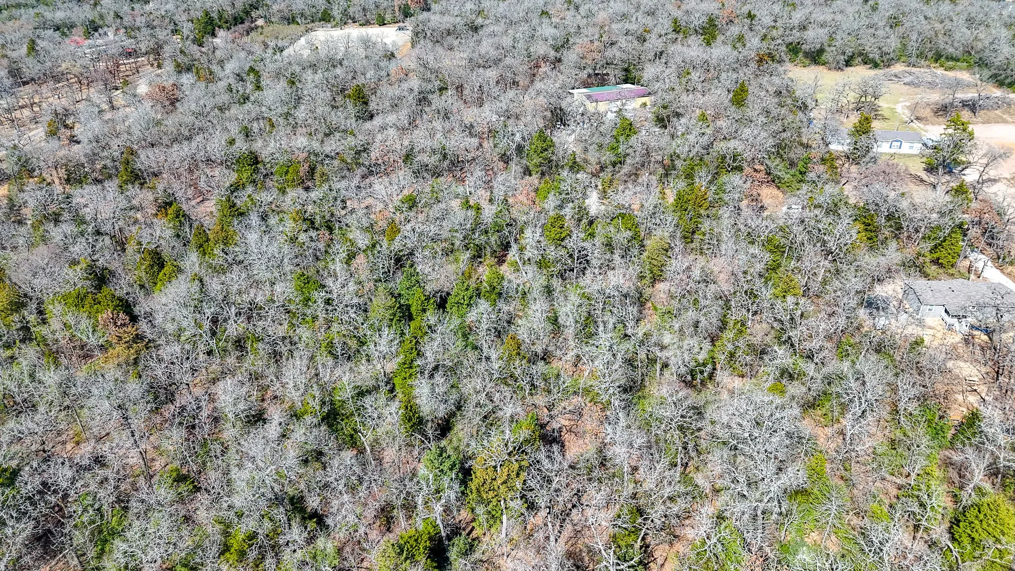 Unimproved Land For Sale in Freestone County , TBD lot 7 FCR 540, Fairfield, Texas 75840, 0, 0, Garage spaces, 0 Sqft, built in 0, Price $29,999, mls#21194762, Real Estate Agent in Fairfield, Homes For Sale in Freestone county, Homes For Sale in Fairfield, Realtor in Fairfield Texas, Real Estate Brokerage Independent Realty Texas, Luminita Cordes Realtor