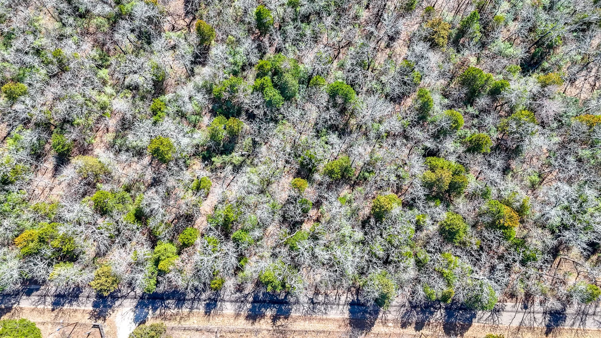 Unimproved Land For Sale in Freestone County , TBD lot 7 FCR 540, Fairfield, Texas 75840, 0, 0, Garage spaces, 0 Sqft, built in 0, Price $29,999, mls#21194762, Real Estate Agent in Fairfield, Homes For Sale in Freestone county, Homes For Sale in Fairfield, Realtor in Fairfield Texas, Real Estate Brokerage Independent Realty Texas, Luminita Cordes Realtor