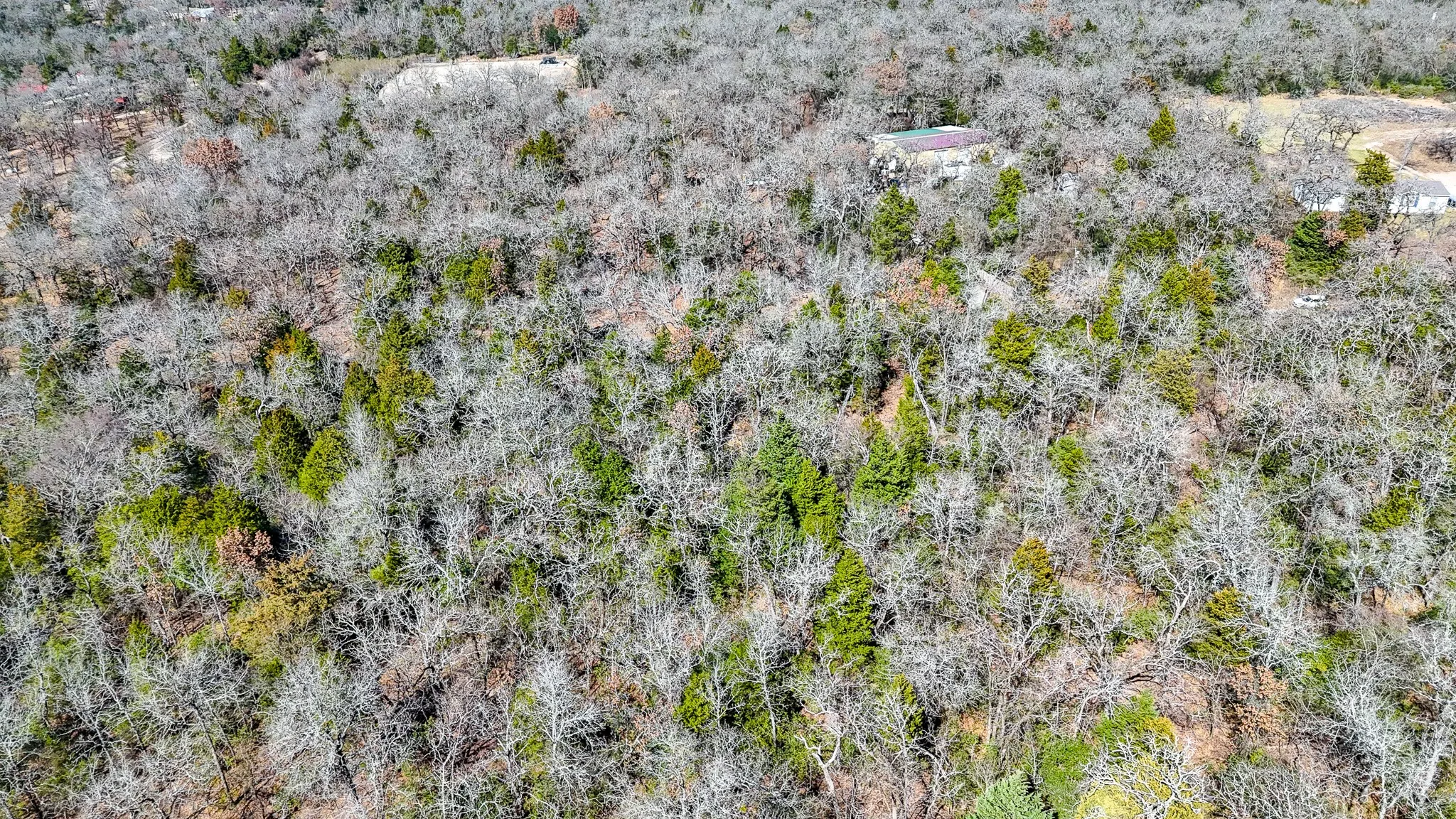 Unimproved Land For Sale in Freestone County , TBD lot 7 FCR 540, Fairfield, Texas 75840, 0, 0, Garage spaces, 0 Sqft, built in 0, Price $29,999, mls#21194762, Real Estate Agent in Fairfield, Homes For Sale in Freestone county, Homes For Sale in Fairfield, Realtor in Fairfield Texas, Real Estate Brokerage Independent Realty Texas, Luminita Cordes Realtor