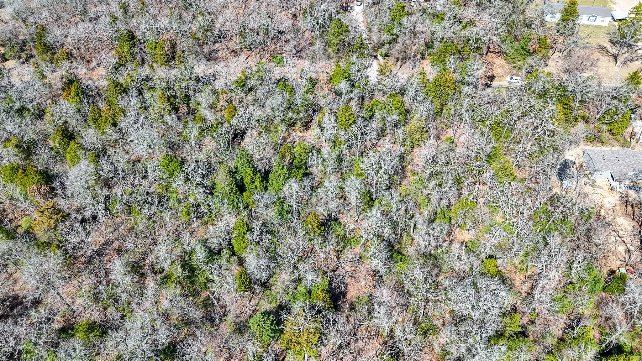 Unimproved Land For Sale in Freestone County , TBD lot 7 FCR 540, Fairfield, Texas 75840, 0, 0, Garage spaces, 0 Sqft, built in 0, Price $29,999, mls#21194762, Real Estate Agent in Fairfield, Homes For Sale in Freestone county, Homes For Sale in Fairfield, Realtor in Fairfield Texas, Real Estate Brokerage Independent Realty Texas, Luminita Cordes Realtor