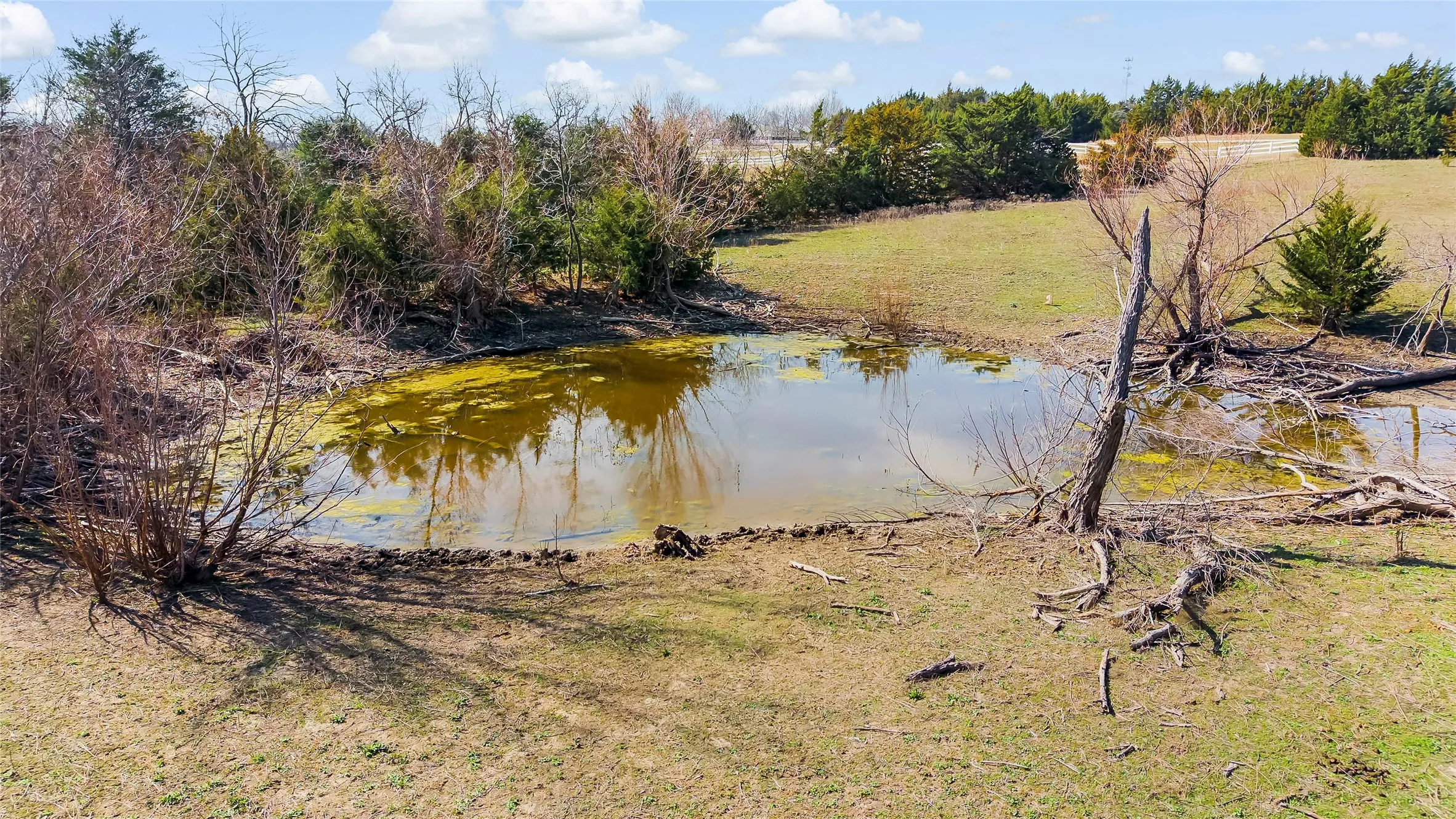 Unimproved Land For Sale in Collin County , 11016 State Highway 78 N, Blue Ridge, Texas 75424, 0, 0, Garage spaces, 0 Sqft, built in 0, mls#21190550, Real Estate Agent in Blue Ridge, Homes For Sale in Collin county, Homes For Sale in Blue Ridge, Realtor in Blue Ridge Texas, Real Estate Brokerage Independent Realty Texas, Luminita Cordes Realtor