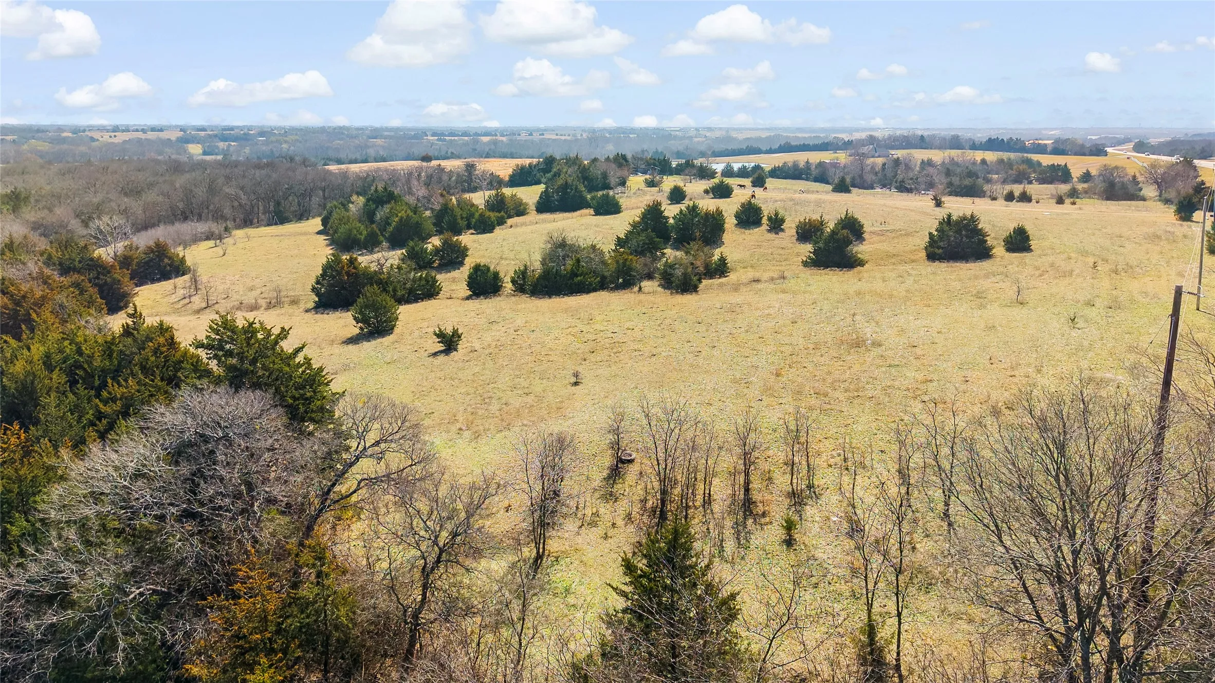 Unimproved Land For Sale in Collin County , 11016 State Highway 78 N, Blue Ridge, Texas 75424, 0, 0, Garage spaces, 0 Sqft, built in 0, mls#21190550, Real Estate Agent in Blue Ridge, Homes For Sale in Collin county, Homes For Sale in Blue Ridge, Realtor in Blue Ridge Texas, Real Estate Brokerage Independent Realty Texas, Luminita Cordes Realtor