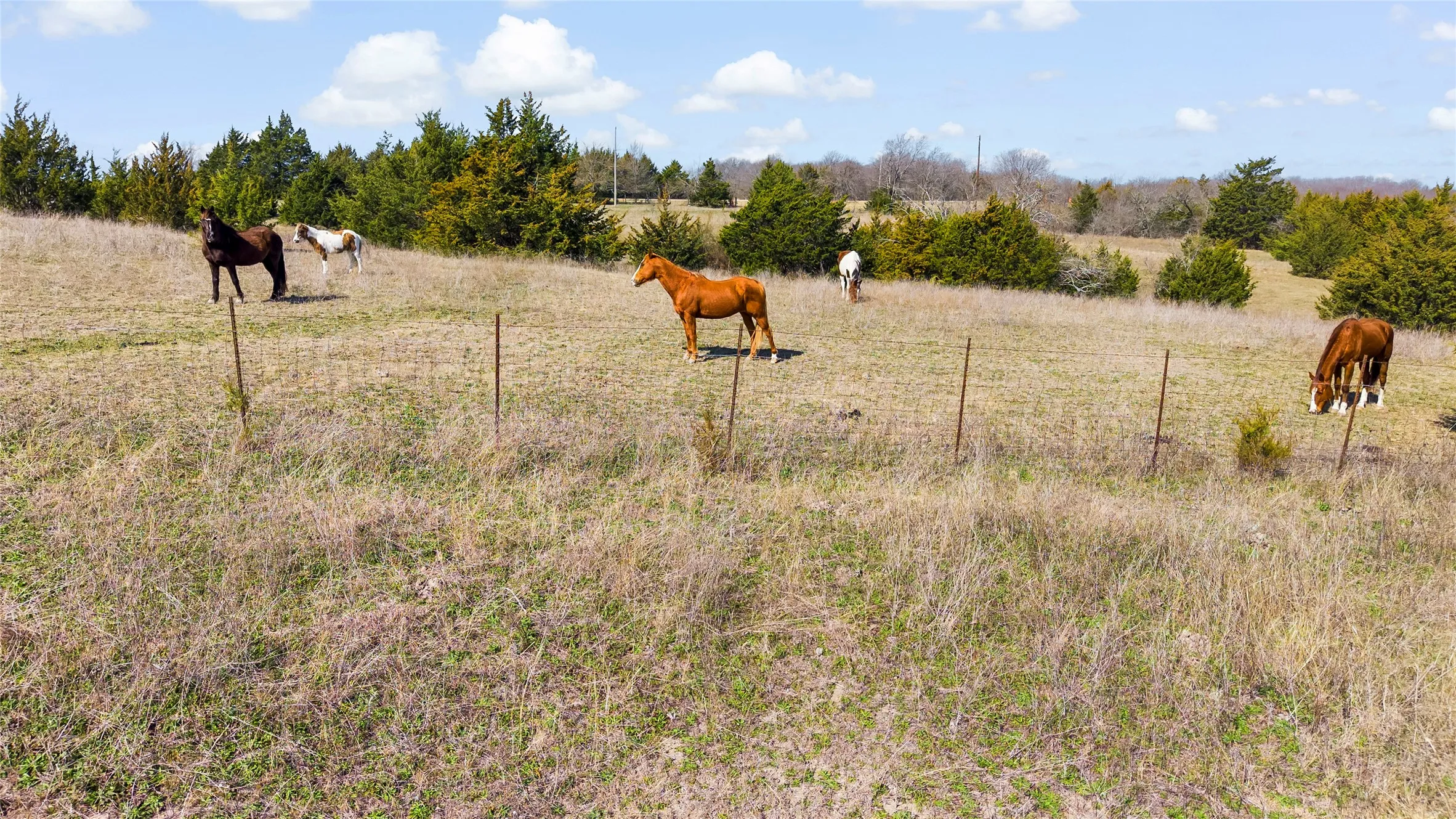 Unimproved Land For Sale in Collin County , 11016 State Highway 78 N, Blue Ridge, Texas 75424, 0, 0, Garage spaces, 0 Sqft, built in 0, mls#21190550, Real Estate Agent in Blue Ridge, Homes For Sale in Collin county, Homes For Sale in Blue Ridge, Realtor in Blue Ridge Texas, Real Estate Brokerage Independent Realty Texas, Luminita Cordes Realtor
