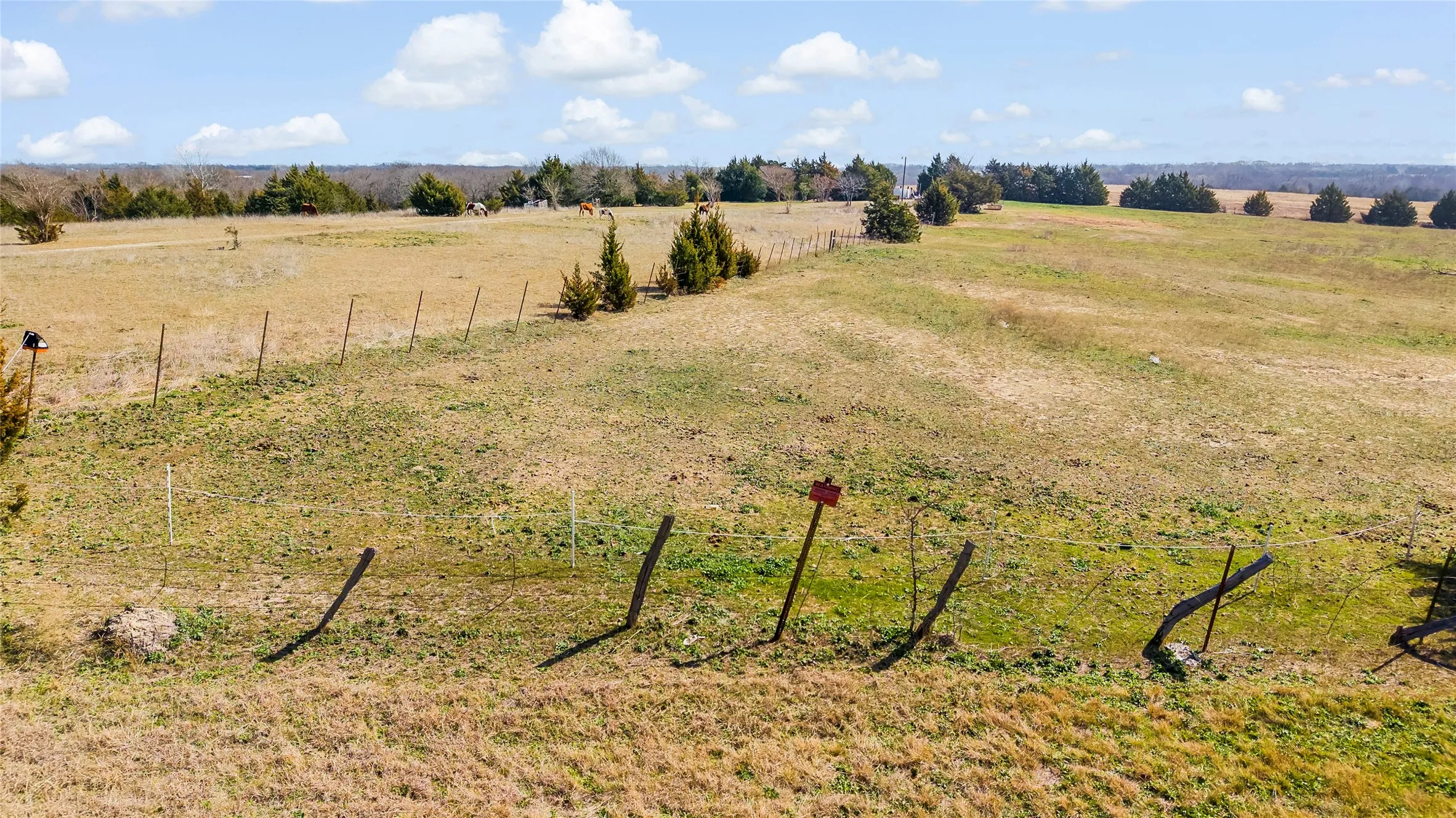 Unimproved Land For Sale in Collin County , 11016 State Highway 78 N, Blue Ridge, Texas 75424, 0, 0, Garage spaces, 0 Sqft, built in 0, mls#21190550, Real Estate Agent in Blue Ridge, Homes For Sale in Collin county, Homes For Sale in Blue Ridge, Realtor in Blue Ridge Texas, Real Estate Brokerage Independent Realty Texas, Luminita Cordes Realtor