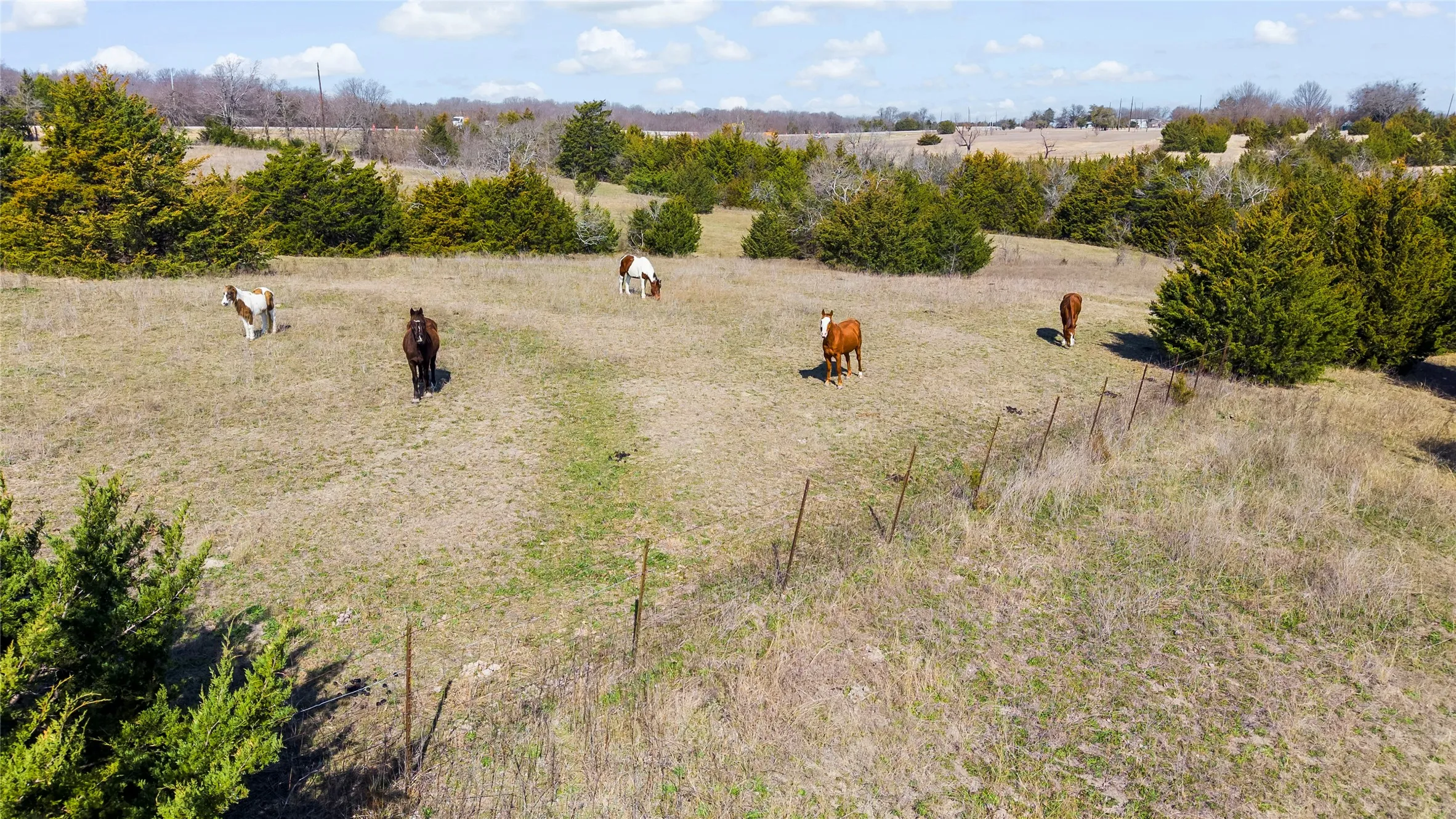 Unimproved Land For Sale in Collin County , 11016 State Highway 78 N, Blue Ridge, Texas 75424, 0, 0, Garage spaces, 0 Sqft, built in 0, mls#21190550, Real Estate Agent in Blue Ridge, Homes For Sale in Collin county, Homes For Sale in Blue Ridge, Realtor in Blue Ridge Texas, Real Estate Brokerage Independent Realty Texas, Luminita Cordes Realtor