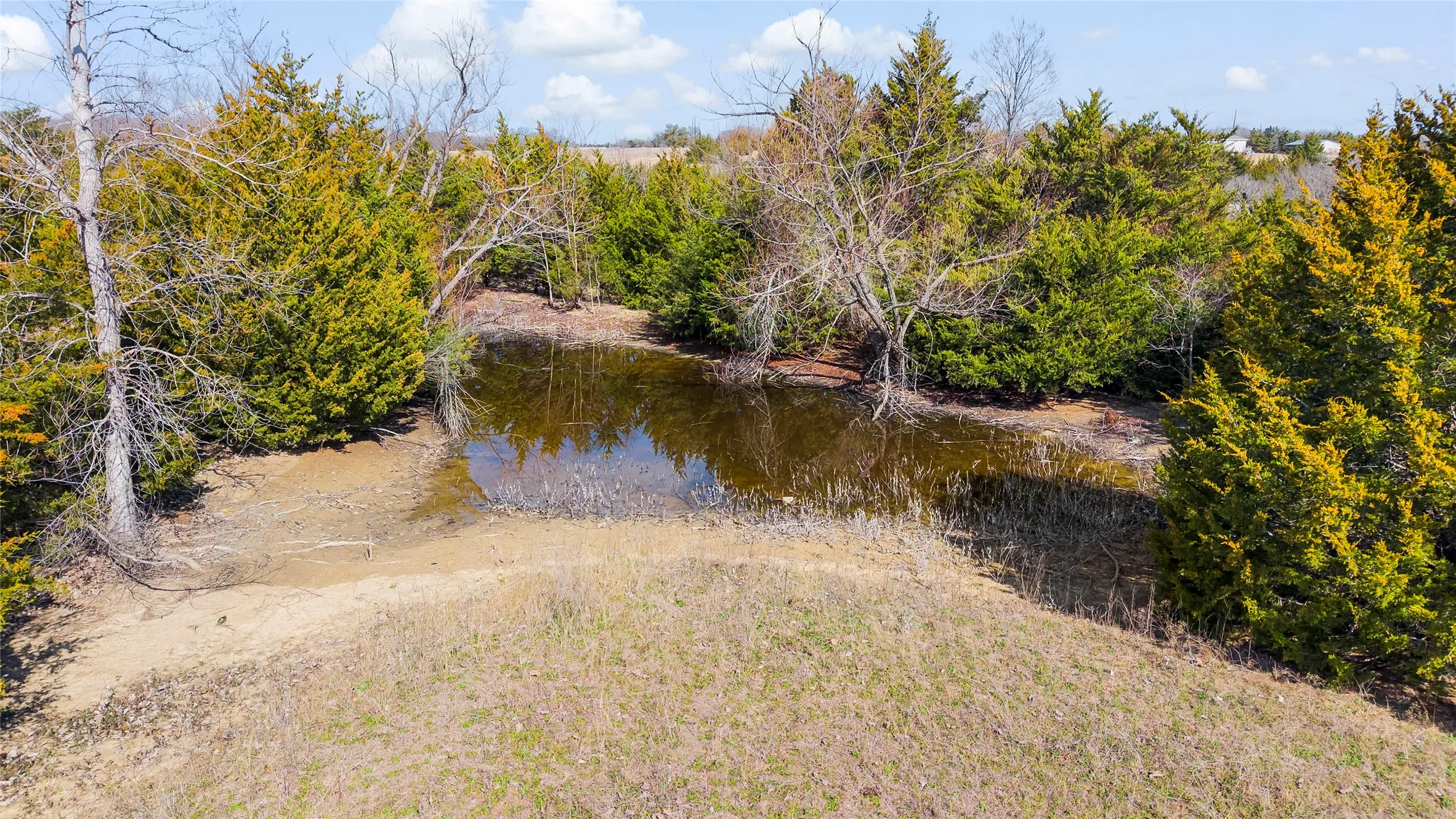 Unimproved Land For Sale in Collin County , 11016 State Highway 78 N, Blue Ridge, Texas 75424, 0, 0, Garage spaces, 0 Sqft, built in 0, mls#21190550, Real Estate Agent in Blue Ridge, Homes For Sale in Collin county, Homes For Sale in Blue Ridge, Realtor in Blue Ridge Texas, Real Estate Brokerage Independent Realty Texas, Luminita Cordes Realtor