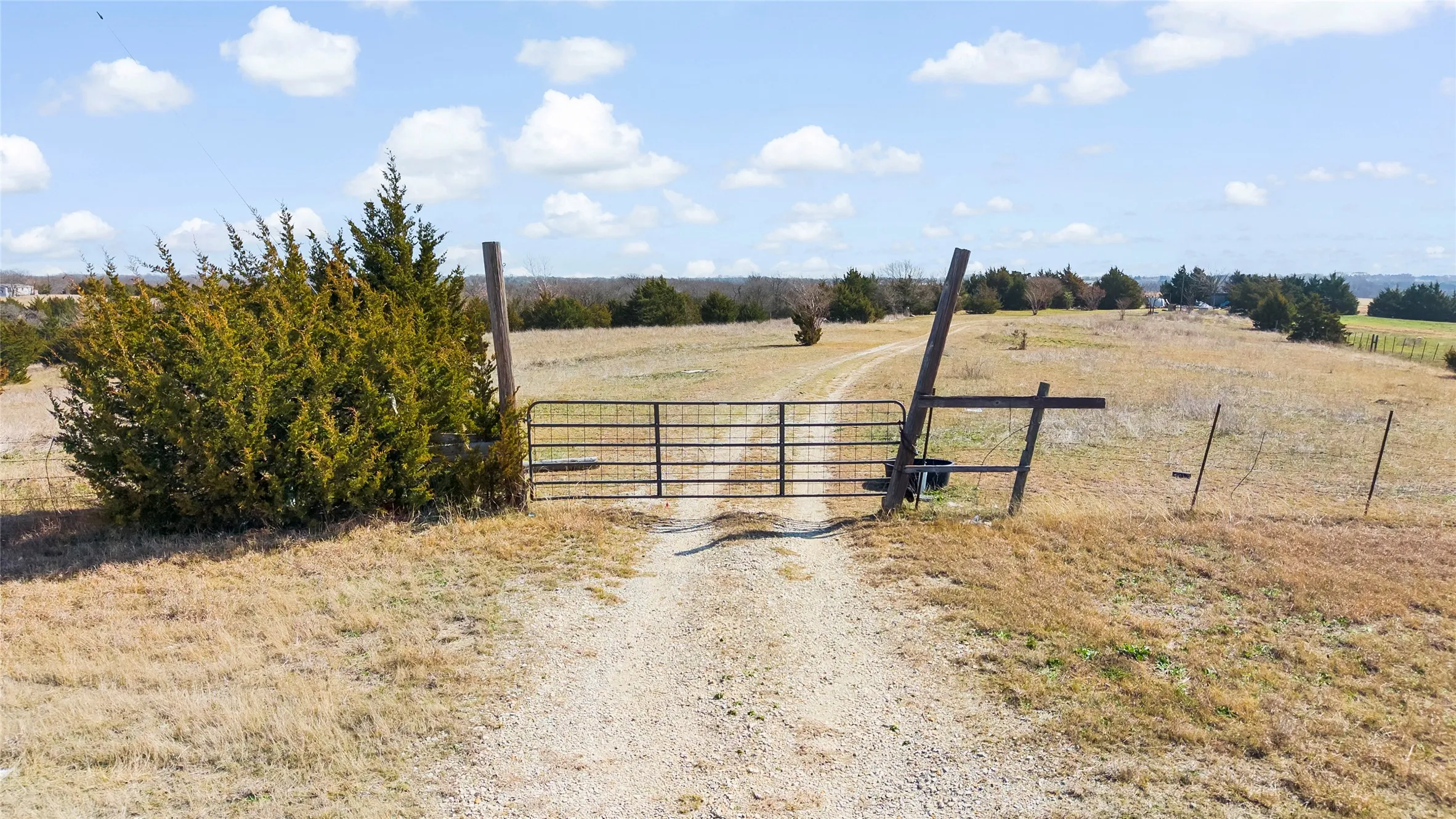 Unimproved Land For Sale in Collin County , 11016 State Highway 78 N, Blue Ridge, Texas 75424, 0, 0, Garage spaces, 0 Sqft, built in 0, mls#21190550, Real Estate Agent in Blue Ridge, Homes For Sale in Collin county, Homes For Sale in Blue Ridge, Realtor in Blue Ridge Texas, Real Estate Brokerage Independent Realty Texas, Luminita Cordes Realtor