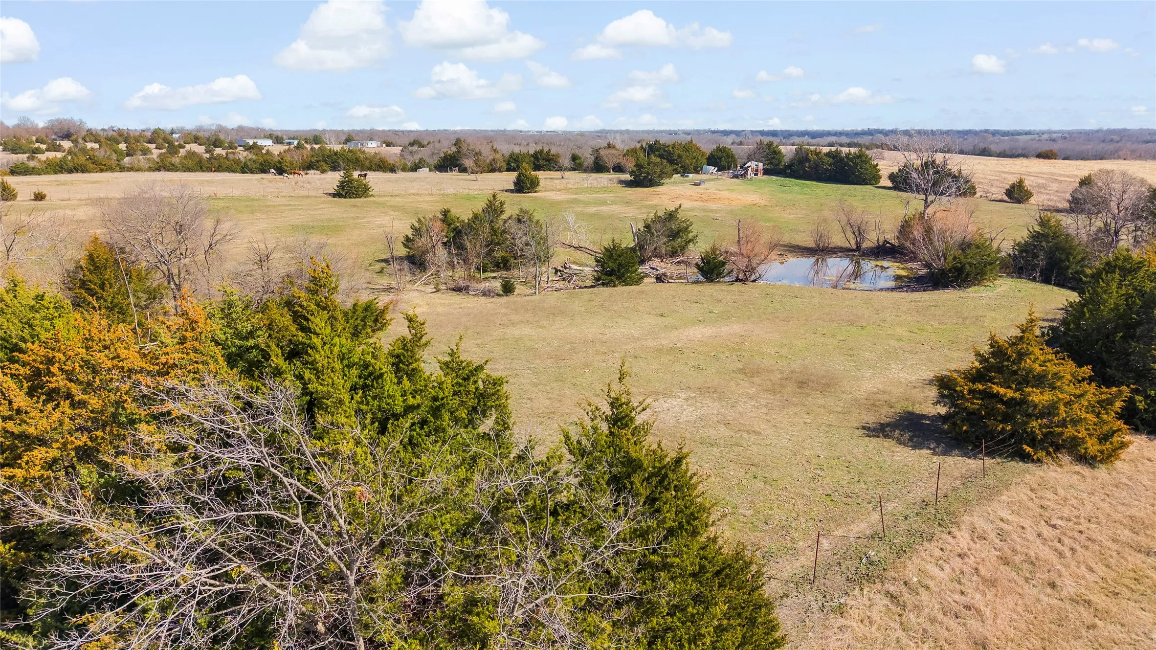 Unimproved Land For Sale in Collin County , 11016 State Highway 78 N, Blue Ridge, Texas 75424, 0, 0, Garage spaces, 0 Sqft, built in 0, mls#21190550, Real Estate Agent in Blue Ridge, Homes For Sale in Collin county, Homes For Sale in Blue Ridge, Realtor in Blue Ridge Texas, Real Estate Brokerage Independent Realty Texas, Luminita Cordes Realtor