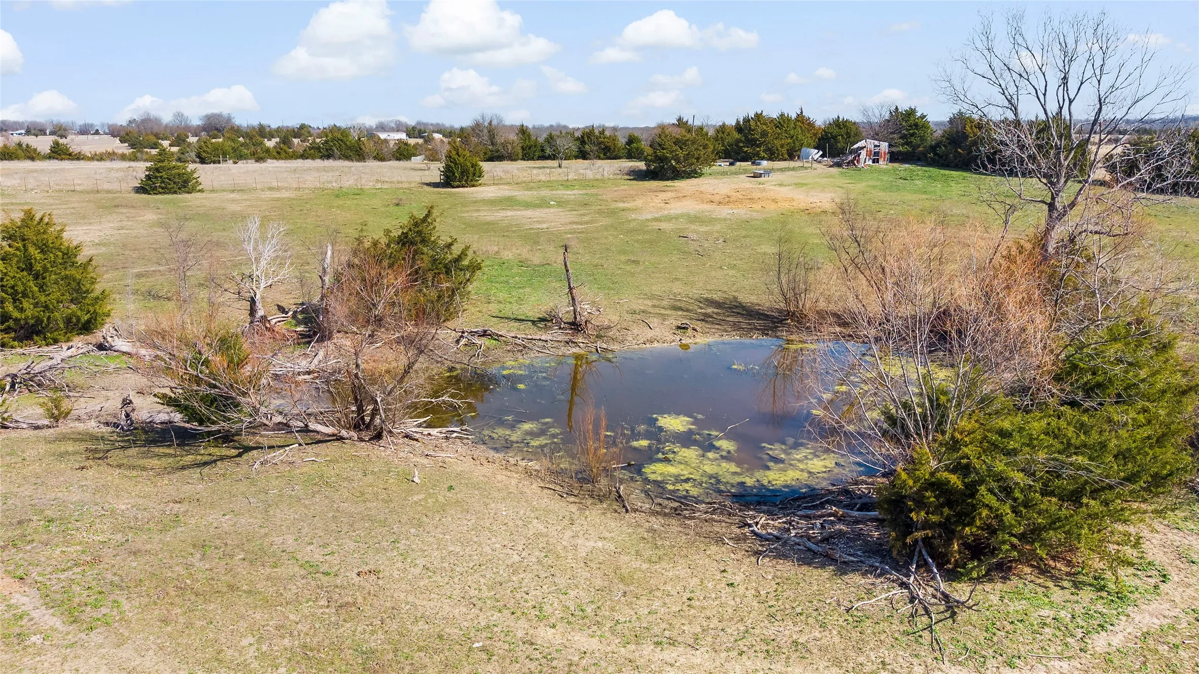 Unimproved Land For Sale in Collin County , 11016 State Highway 78 N, Blue Ridge, Texas 75424, 0, 0, Garage spaces, 0 Sqft, built in 0, mls#21190550, Real Estate Agent in Blue Ridge, Homes For Sale in Collin county, Homes For Sale in Blue Ridge, Realtor in Blue Ridge Texas, Real Estate Brokerage Independent Realty Texas, Luminita Cordes Realtor