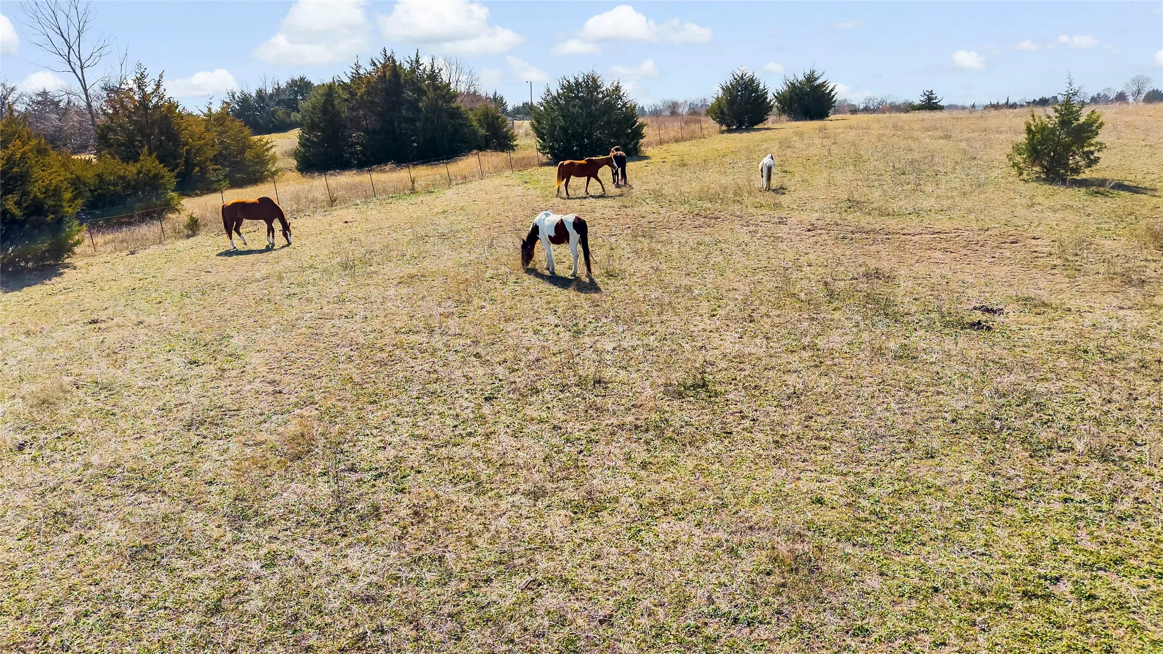 Unimproved Land For Sale in Collin County , 11016 State Highway 78 N, Blue Ridge, Texas 75424, 0, 0, Garage spaces, 0 Sqft, built in 0, mls#21190550, Real Estate Agent in Blue Ridge, Homes For Sale in Collin county, Homes For Sale in Blue Ridge, Realtor in Blue Ridge Texas, Real Estate Brokerage Independent Realty Texas, Luminita Cordes Realtor