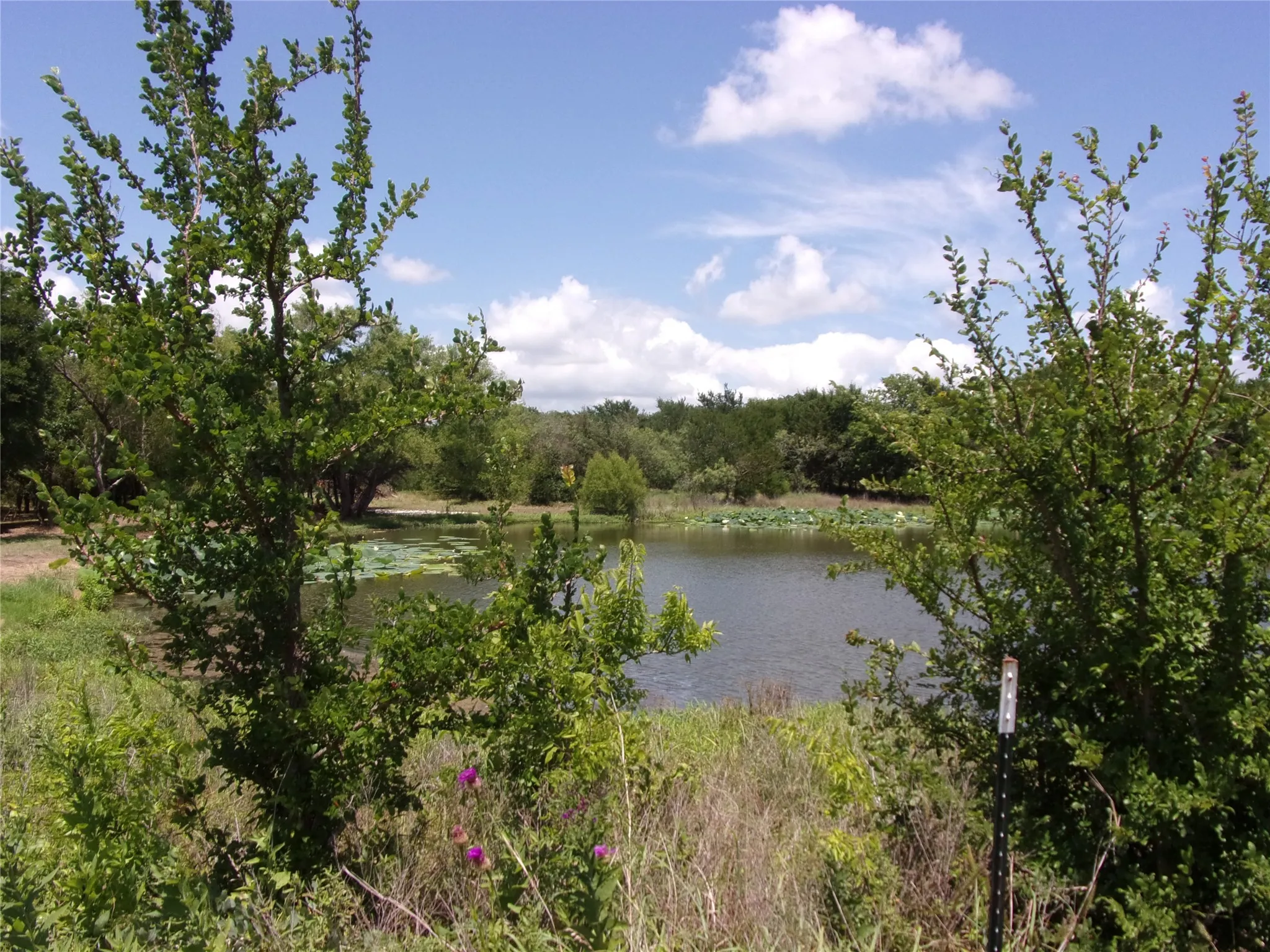 Right hand property line looking out over pond