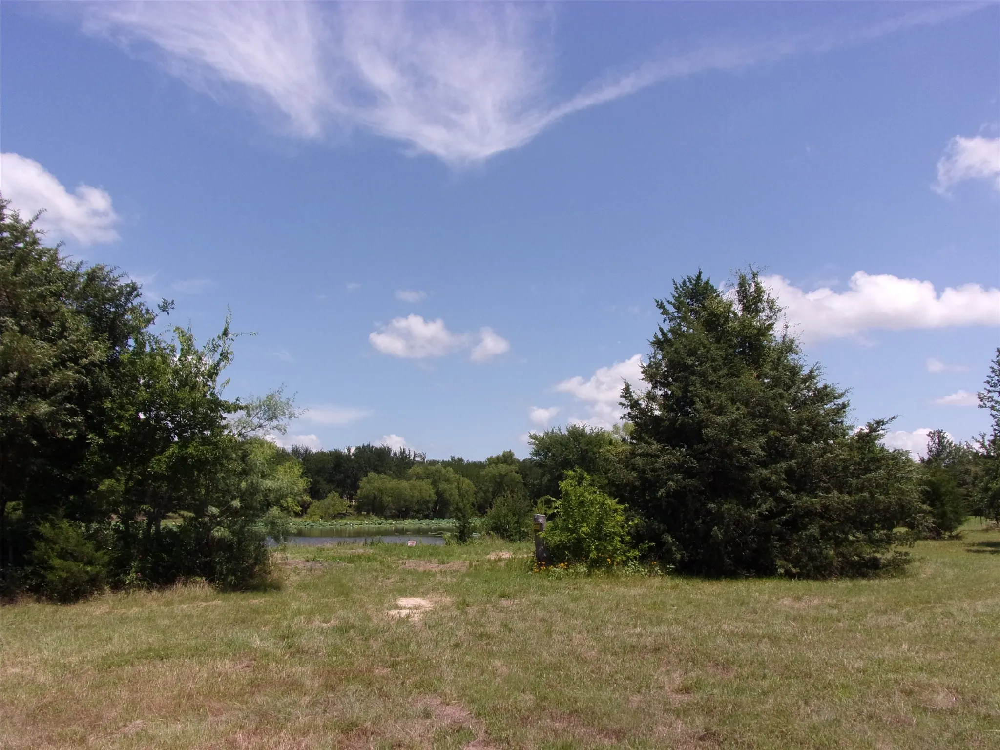 middle of lot