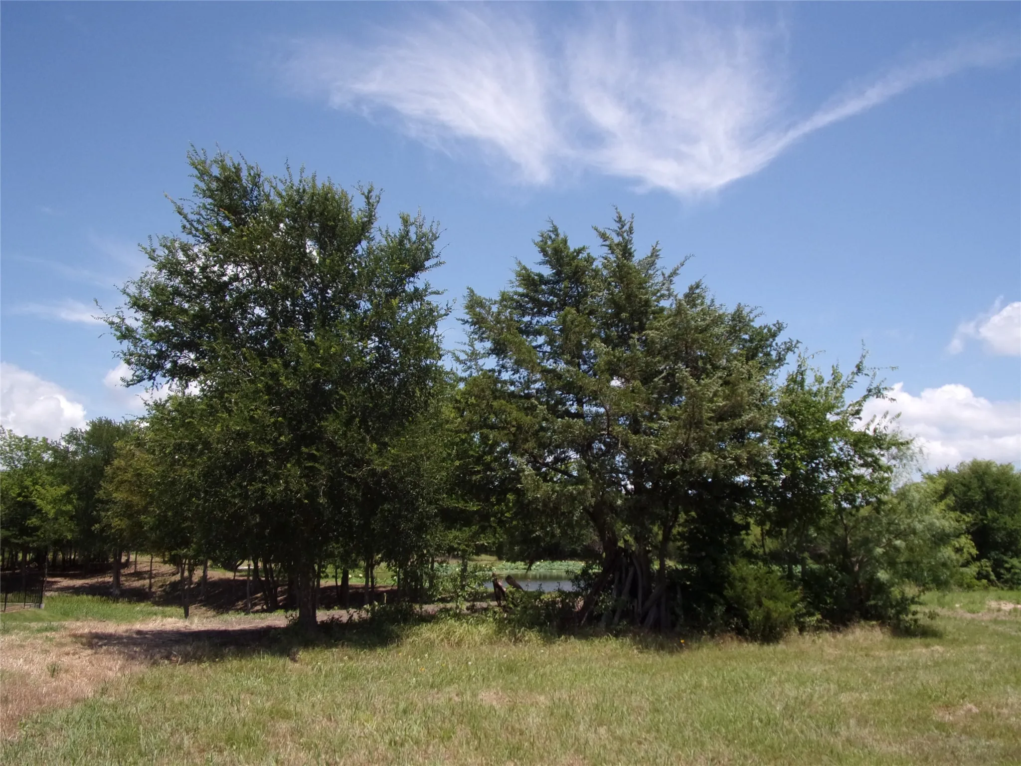 middle left hand side. Sunken, below street level, picnic/fire pit area in shaded area beyond the front left tree.