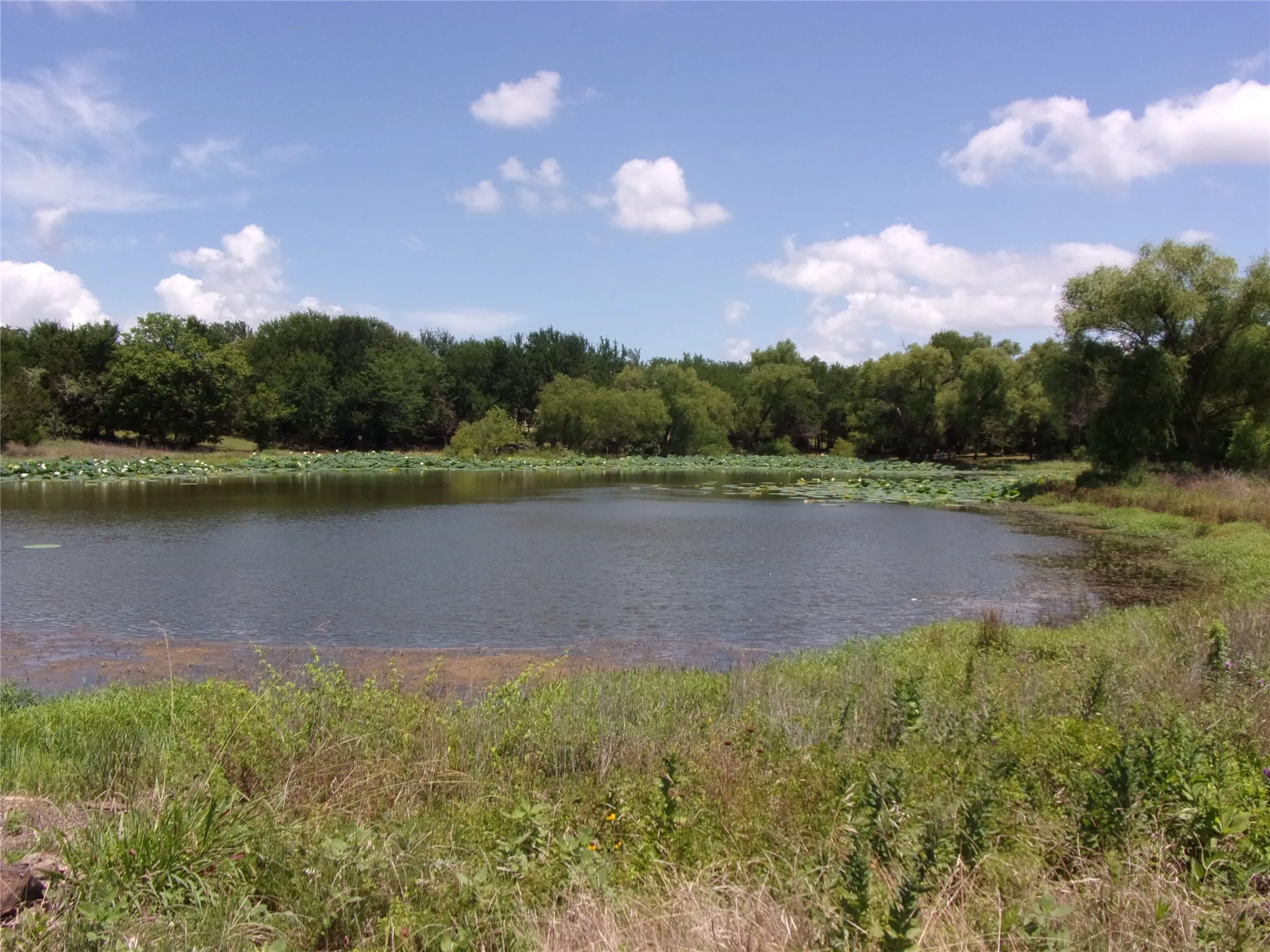 Front edge of pond on property. A great place for a dock