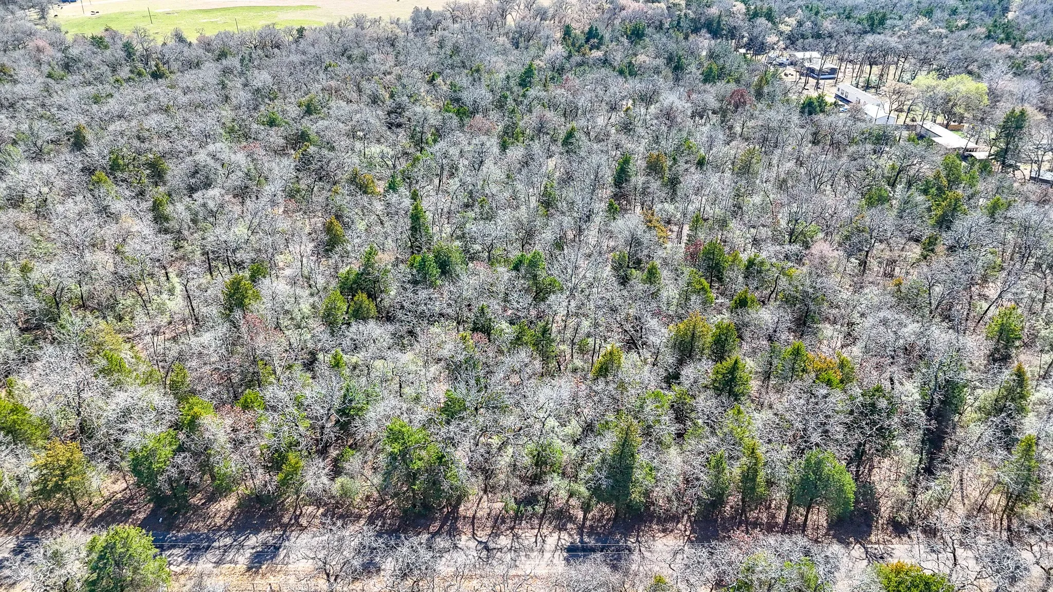 Unimproved Land For Sale in Freestone County , TBD lot 8 FCR 540, Fairfield, Texas 75840, 0, 0, Garage spaces, 0 Sqft, built in 0, Price $29,999, mls#21194797, Real Estate Agent in Fairfield, Homes For Sale in Freestone county, Homes For Sale in Fairfield, Realtor in Fairfield Texas, Real Estate Brokerage Independent Realty Texas, Luminita Cordes Realtor