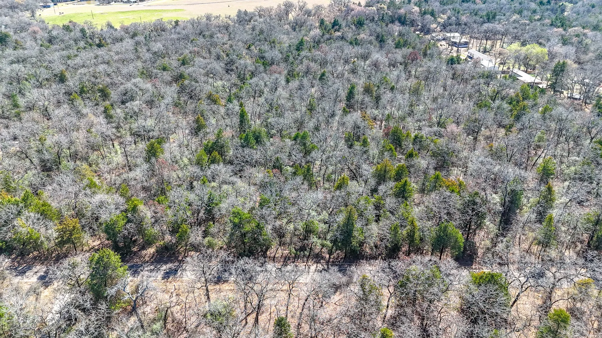 Unimproved Land For Sale in Freestone County , TBD lot 8 FCR 540, Fairfield, Texas 75840, 0, 0, Garage spaces, 0 Sqft, built in 0, Price $29,999, mls#21194797, Real Estate Agent in Fairfield, Homes For Sale in Freestone county, Homes For Sale in Fairfield, Realtor in Fairfield Texas, Real Estate Brokerage Independent Realty Texas, Luminita Cordes Realtor