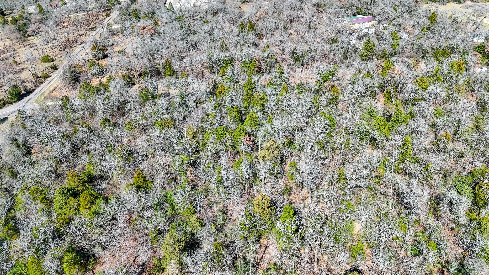 Unimproved Land For Sale in Freestone County , TBD lot 8 FCR 540, Fairfield, Texas 75840, 0, 0, Garage spaces, 0 Sqft, built in 0, Price $29,999, mls#21194797, Real Estate Agent in Fairfield, Homes For Sale in Freestone county, Homes For Sale in Fairfield, Realtor in Fairfield Texas, Real Estate Brokerage Independent Realty Texas, Luminita Cordes Realtor
