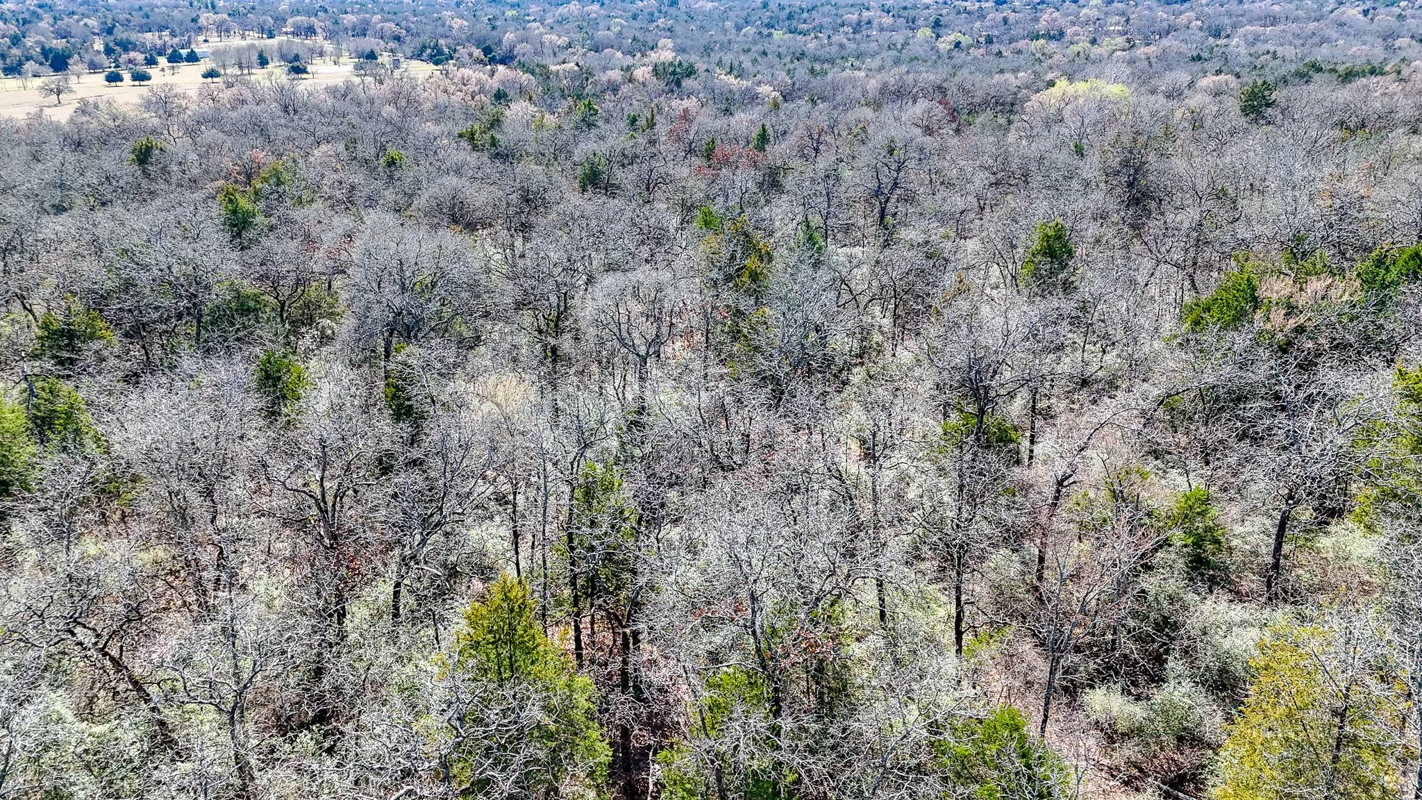 Unimproved Land For Sale in Freestone County , TBD lot 8 FCR 540, Fairfield, Texas 75840, 0, 0, Garage spaces, 0 Sqft, built in 0, Price $29,999, mls#21194797, Real Estate Agent in Fairfield, Homes For Sale in Freestone county, Homes For Sale in Fairfield, Realtor in Fairfield Texas, Real Estate Brokerage Independent Realty Texas, Luminita Cordes Realtor