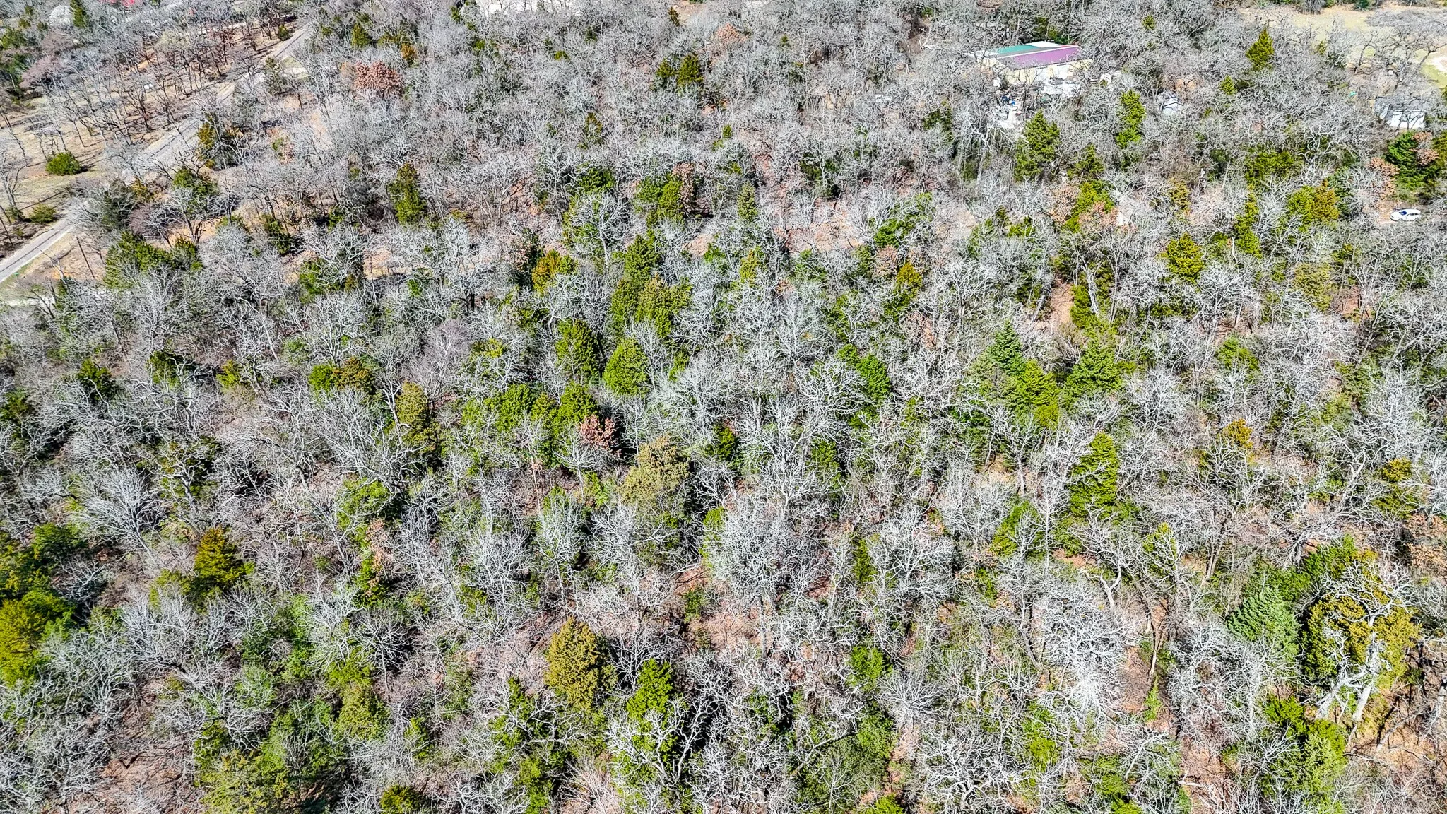 Unimproved Land For Sale in Freestone County , TBD lot 8 FCR 540, Fairfield, Texas 75840, 0, 0, Garage spaces, 0 Sqft, built in 0, Price $29,999, mls#21194797, Real Estate Agent in Fairfield, Homes For Sale in Freestone county, Homes For Sale in Fairfield, Realtor in Fairfield Texas, Real Estate Brokerage Independent Realty Texas, Luminita Cordes Realtor