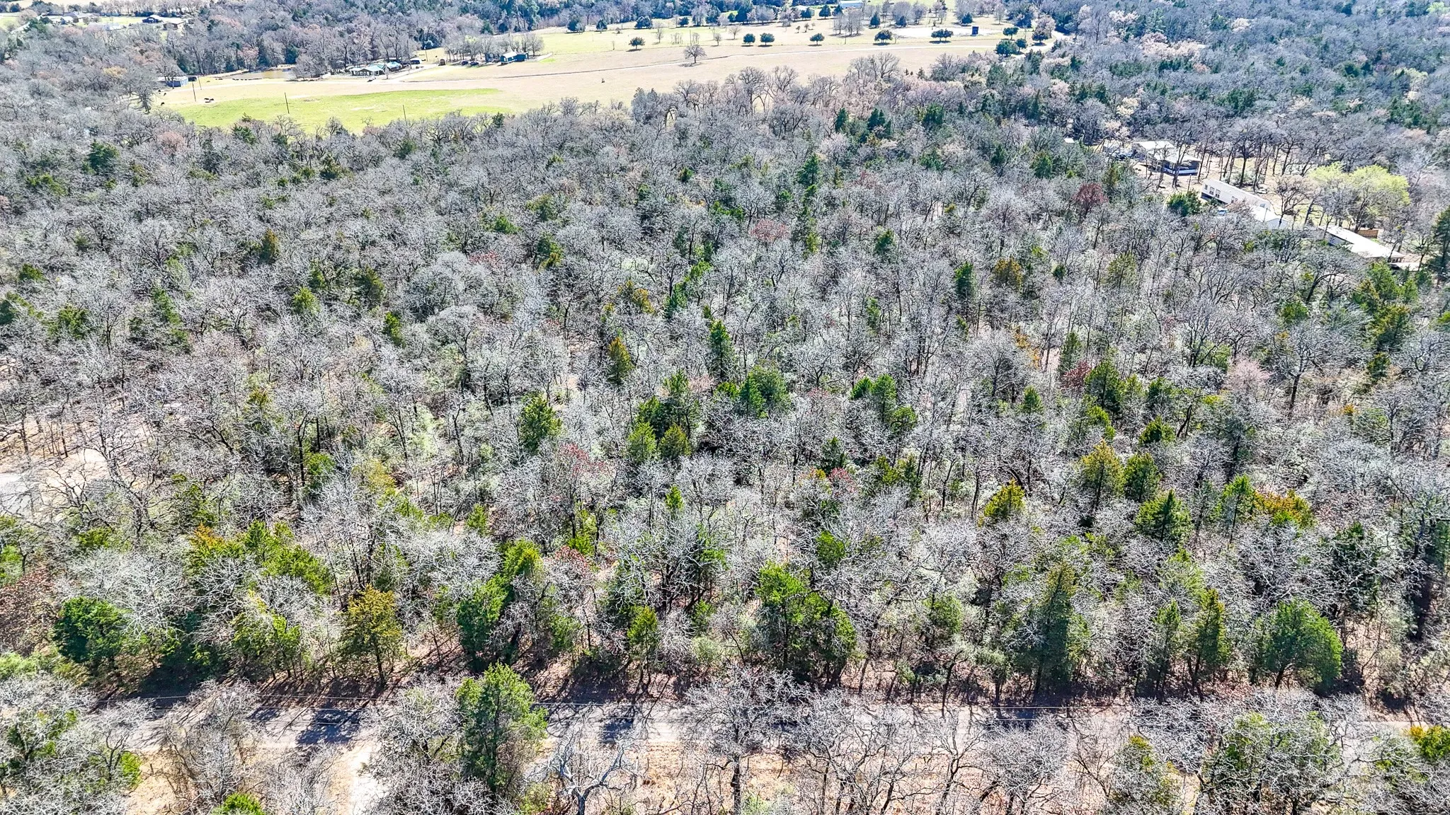 Unimproved Land For Sale in Freestone County , TBD lot 8 FCR 540, Fairfield, Texas 75840, 0, 0, Garage spaces, 0 Sqft, built in 0, Price $29,999, mls#21194797, Real Estate Agent in Fairfield, Homes For Sale in Freestone county, Homes For Sale in Fairfield, Realtor in Fairfield Texas, Real Estate Brokerage Independent Realty Texas, Luminita Cordes Realtor