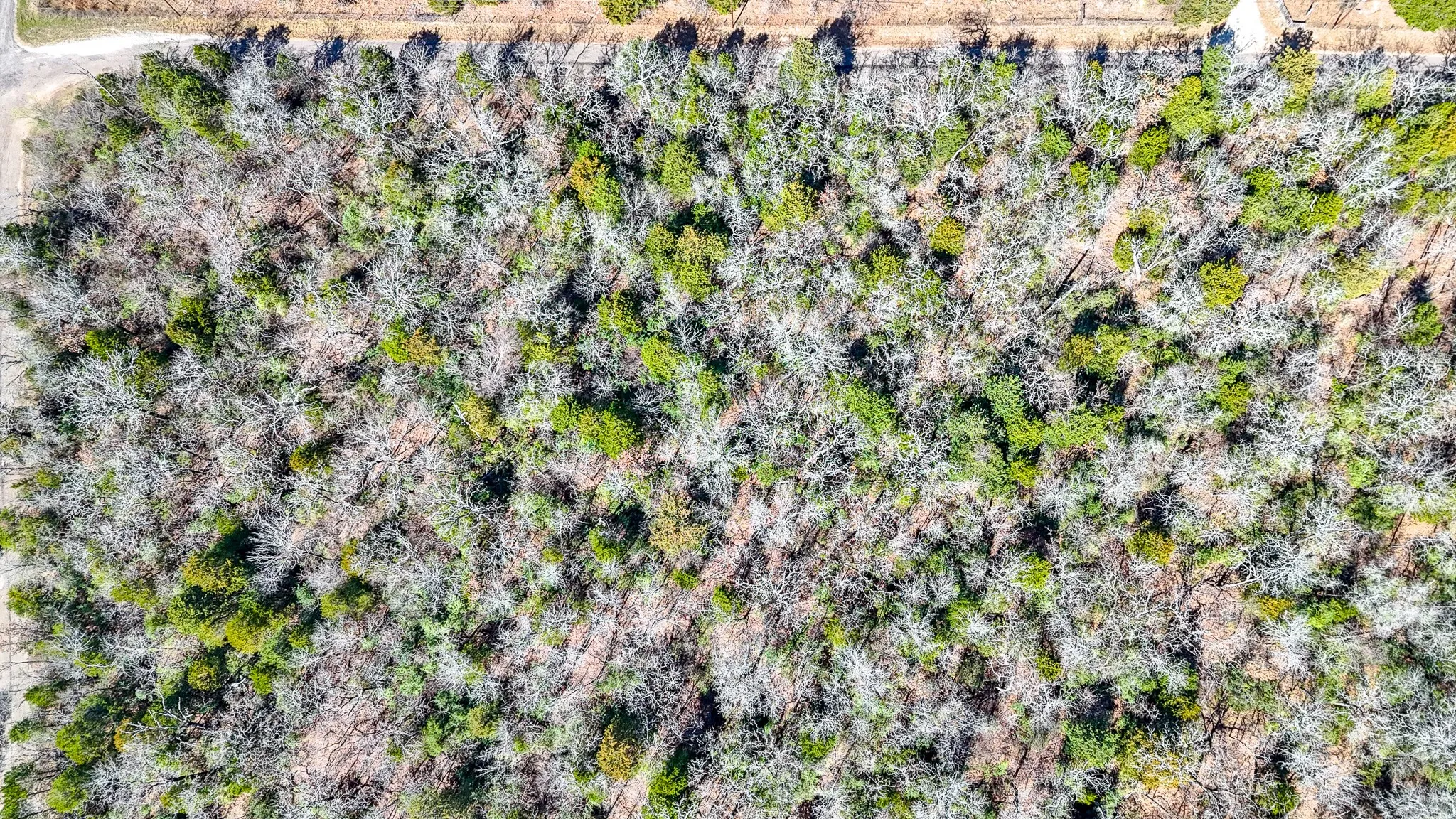 Unimproved Land For Sale in Freestone County , TBD lot 8 FCR 540, Fairfield, Texas 75840, 0, 0, Garage spaces, 0 Sqft, built in 0, Price $29,999, mls#21194797, Real Estate Agent in Fairfield, Homes For Sale in Freestone county, Homes For Sale in Fairfield, Realtor in Fairfield Texas, Real Estate Brokerage Independent Realty Texas, Luminita Cordes Realtor