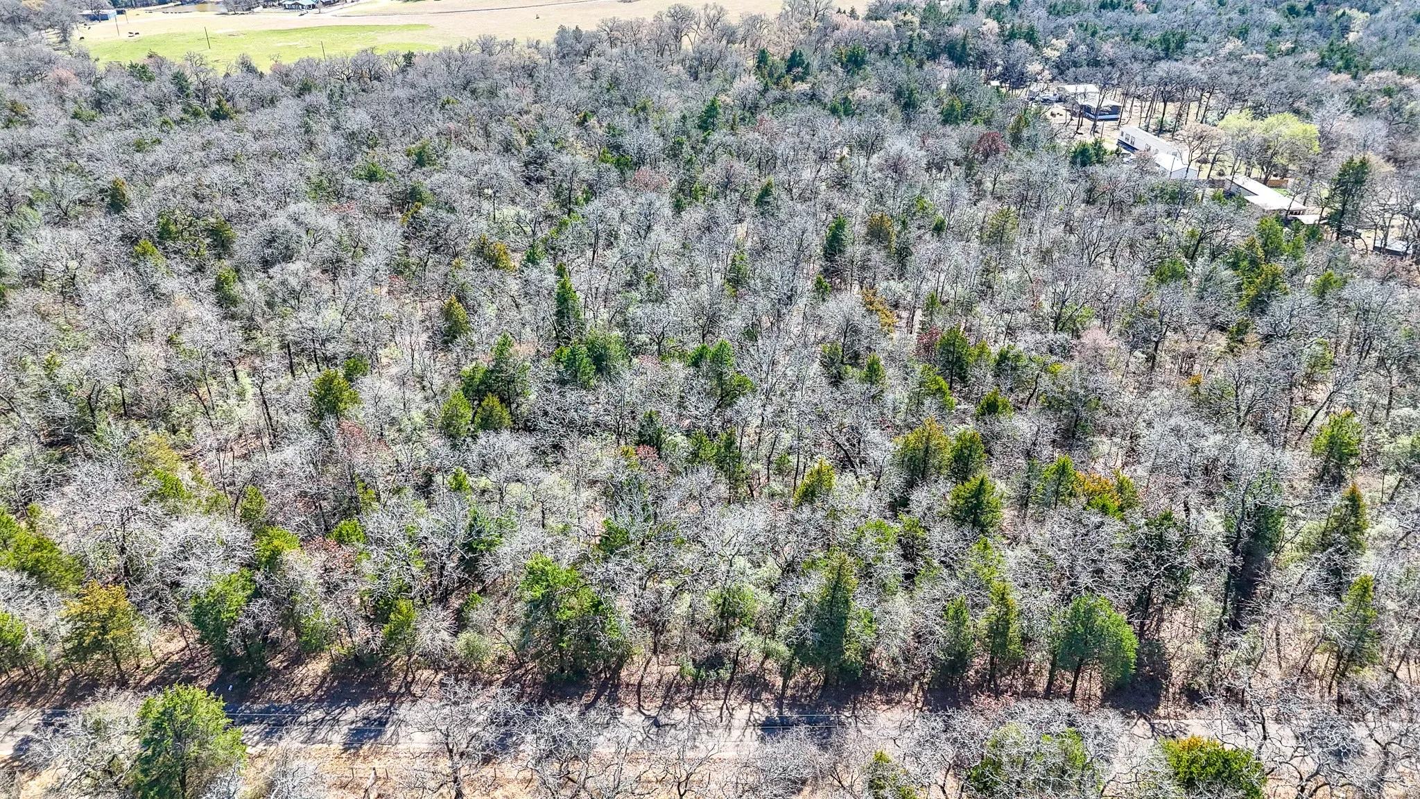 Unimproved Land For Sale in Freestone County , TBD lot 8 FCR 540, Fairfield, Texas 75840, 0, 0, Garage spaces, 0 Sqft, built in 0, Price $29,999, mls#21194797, Real Estate Agent in Fairfield, Homes For Sale in Freestone county, Homes For Sale in Fairfield, Realtor in Fairfield Texas, Real Estate Brokerage Independent Realty Texas, Luminita Cordes Realtor