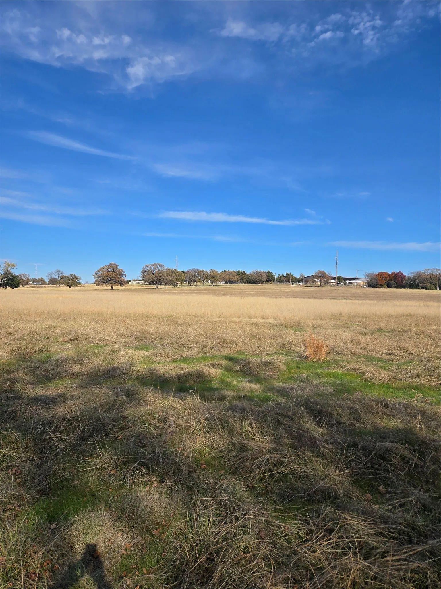 Ranch For Sale in Wise County , TBD2 N Fm 730, Decatur, Texas 76234, 0, 0, Garage spaces, 0 Sqft, built in 1992, mls#21194530, Real Estate Agent in Decatur, Homes For Sale in Wise county, Homes For Sale in Decatur, Realtor in Decatur Texas, Real Estate Brokerage Independent Realty Texas, Luminita Cordes Realtor