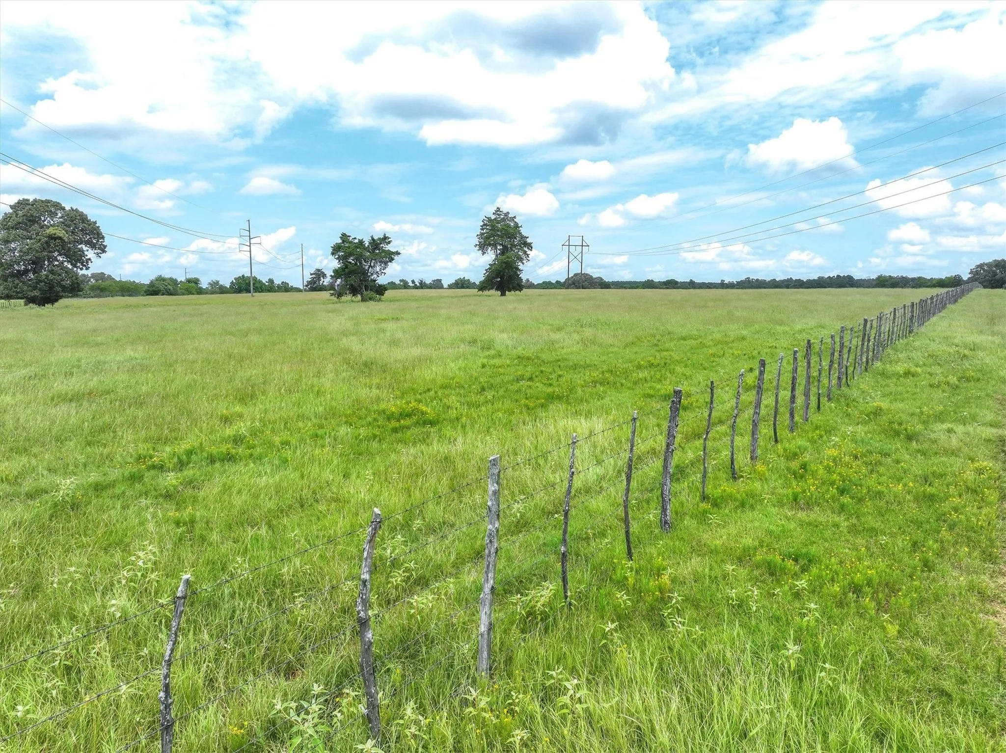Unimproved Land For Sale in Cherokee County , Tract 1 FM 855, Jacksonville, Texas 75766, 0, 0, Garage spaces, 0 Sqft, built in 0, Price $250,000, mls#21195075, Real Estate Agent in Jacksonville, Homes For Sale in Cherokee county, Homes For Sale in Jacksonville, Realtor in Jacksonville Texas, Real Estate Brokerage Independent Realty Texas, Luminita Cordes Realtor