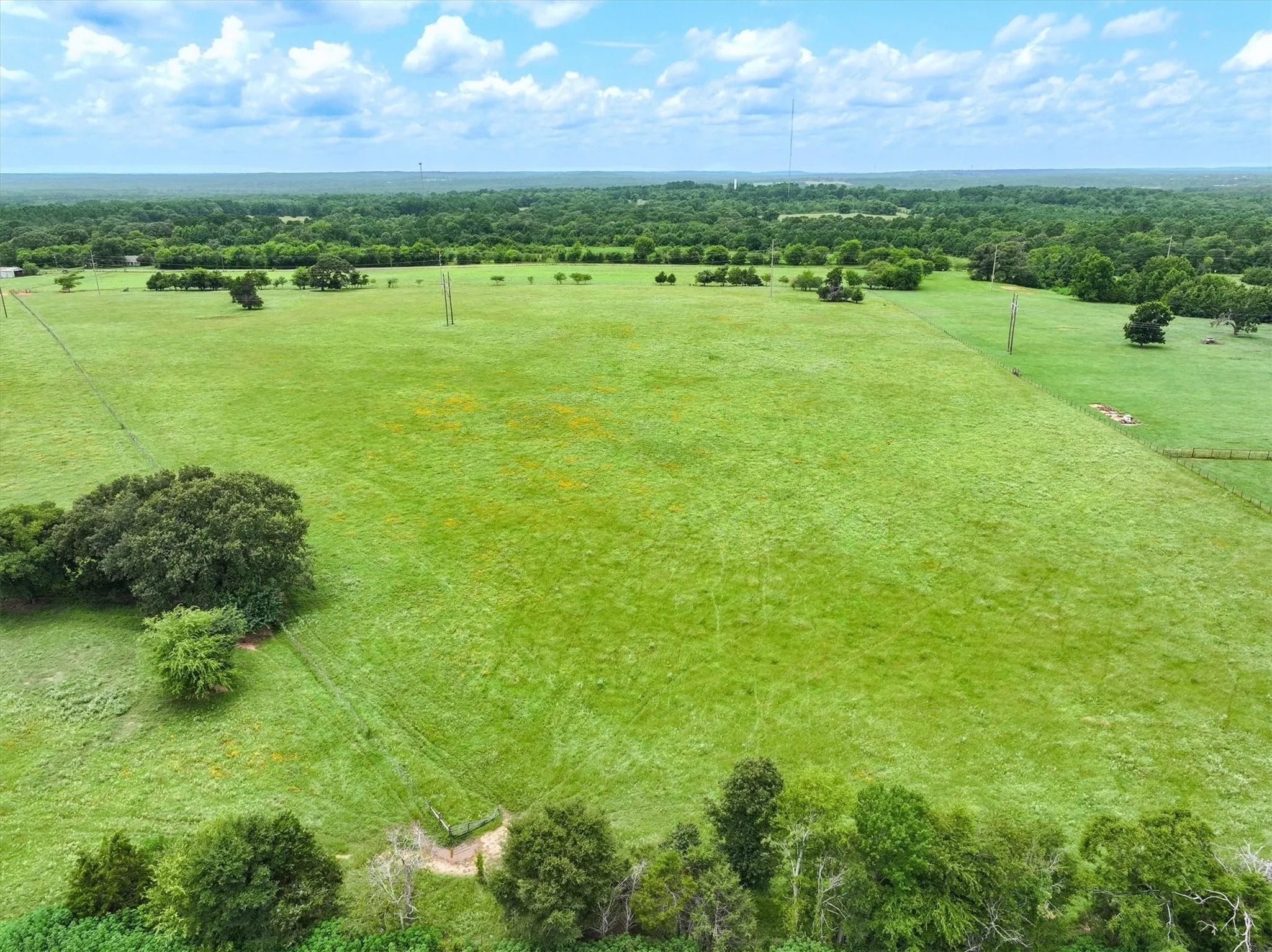 Unimproved Land For Sale in Cherokee County , Tract 1 FM 855, Jacksonville, Texas 75766, 0, 0, Garage spaces, 0 Sqft, built in 0, Price $250,000, mls#21195075, Real Estate Agent in Jacksonville, Homes For Sale in Cherokee county, Homes For Sale in Jacksonville, Realtor in Jacksonville Texas, Real Estate Brokerage Independent Realty Texas, Luminita Cordes Realtor