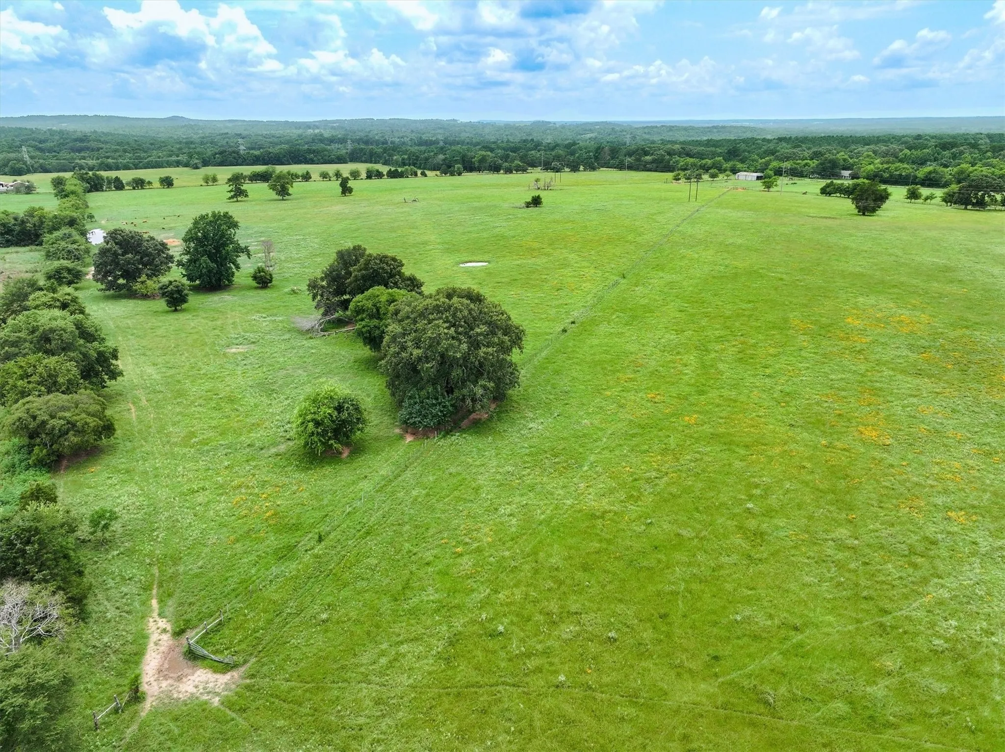 Unimproved Land For Sale in Cherokee County , Tract 1 FM 855, Jacksonville, Texas 75766, 0, 0, Garage spaces, 0 Sqft, built in 0, Price $250,000, mls#21195075, Real Estate Agent in Jacksonville, Homes For Sale in Cherokee county, Homes For Sale in Jacksonville, Realtor in Jacksonville Texas, Real Estate Brokerage Independent Realty Texas, Luminita Cordes Realtor