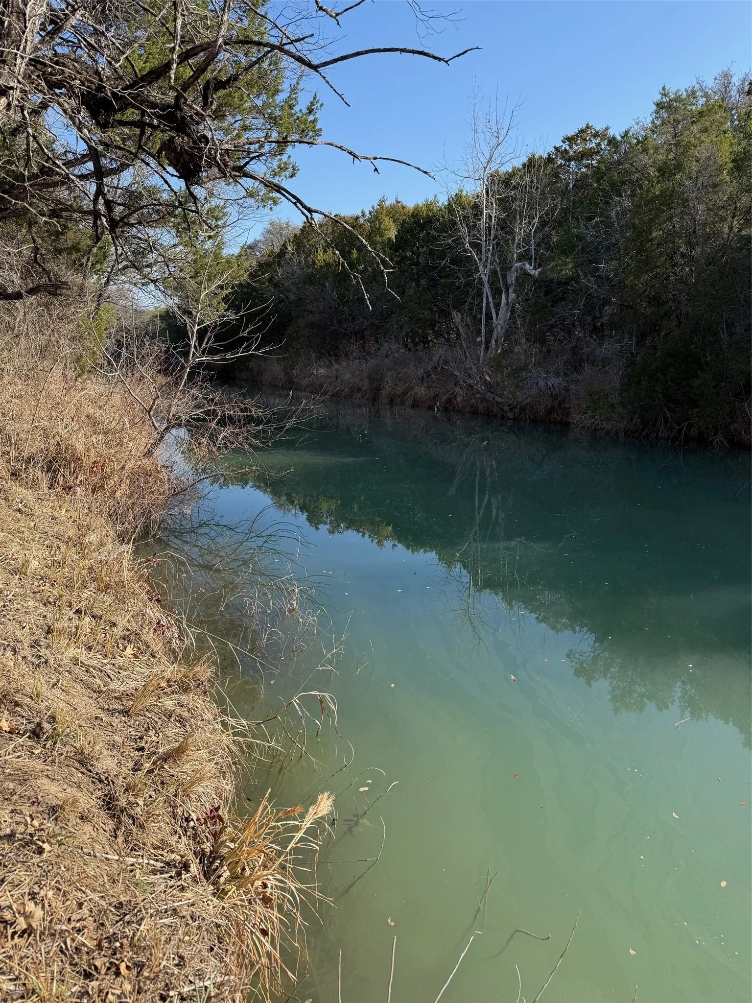 Georges Creek that runs along the south border of the property