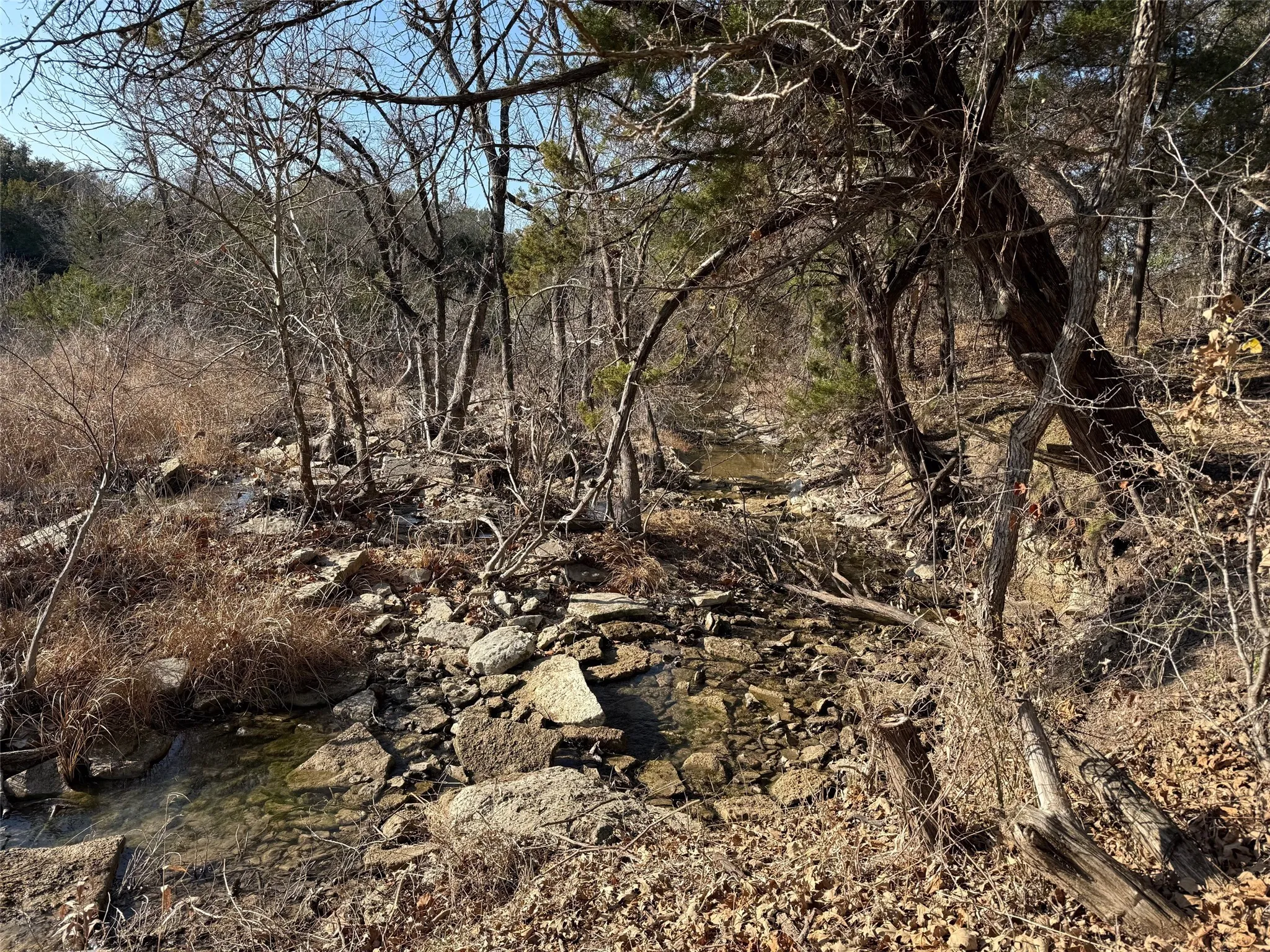 Georges Creek that feeds into the Brazos River just downstream from the property