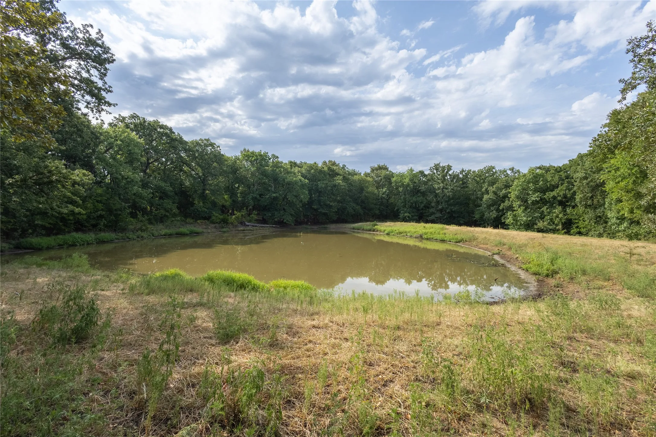 Ranch For Sale in Fannin County , 1966 County Road 2980, Windom, Texas 75492, 0, 0, Garage spaces, 0 Sqft, built in 1979, mls#21195318, Real Estate Agent in Windom, Homes For Sale in Fannin county, Homes For Sale in Windom, Realtor in Windom Texas, Real Estate Brokerage Independent Realty Texas, Luminita Cordes Realtor