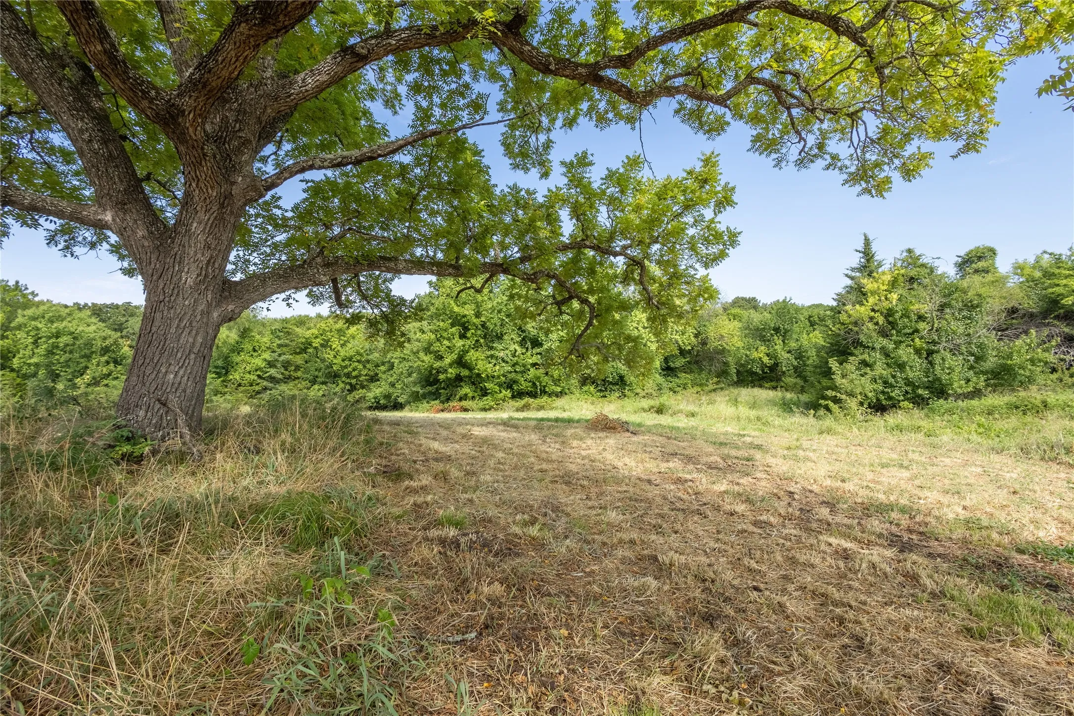 Ranch For Sale in Fannin County , 1966 County Road 2980, Windom, Texas 75492, 0, 0, Garage spaces, 0 Sqft, built in 1979, mls#21195318, Real Estate Agent in Windom, Homes For Sale in Fannin county, Homes For Sale in Windom, Realtor in Windom Texas, Real Estate Brokerage Independent Realty Texas, Luminita Cordes Realtor