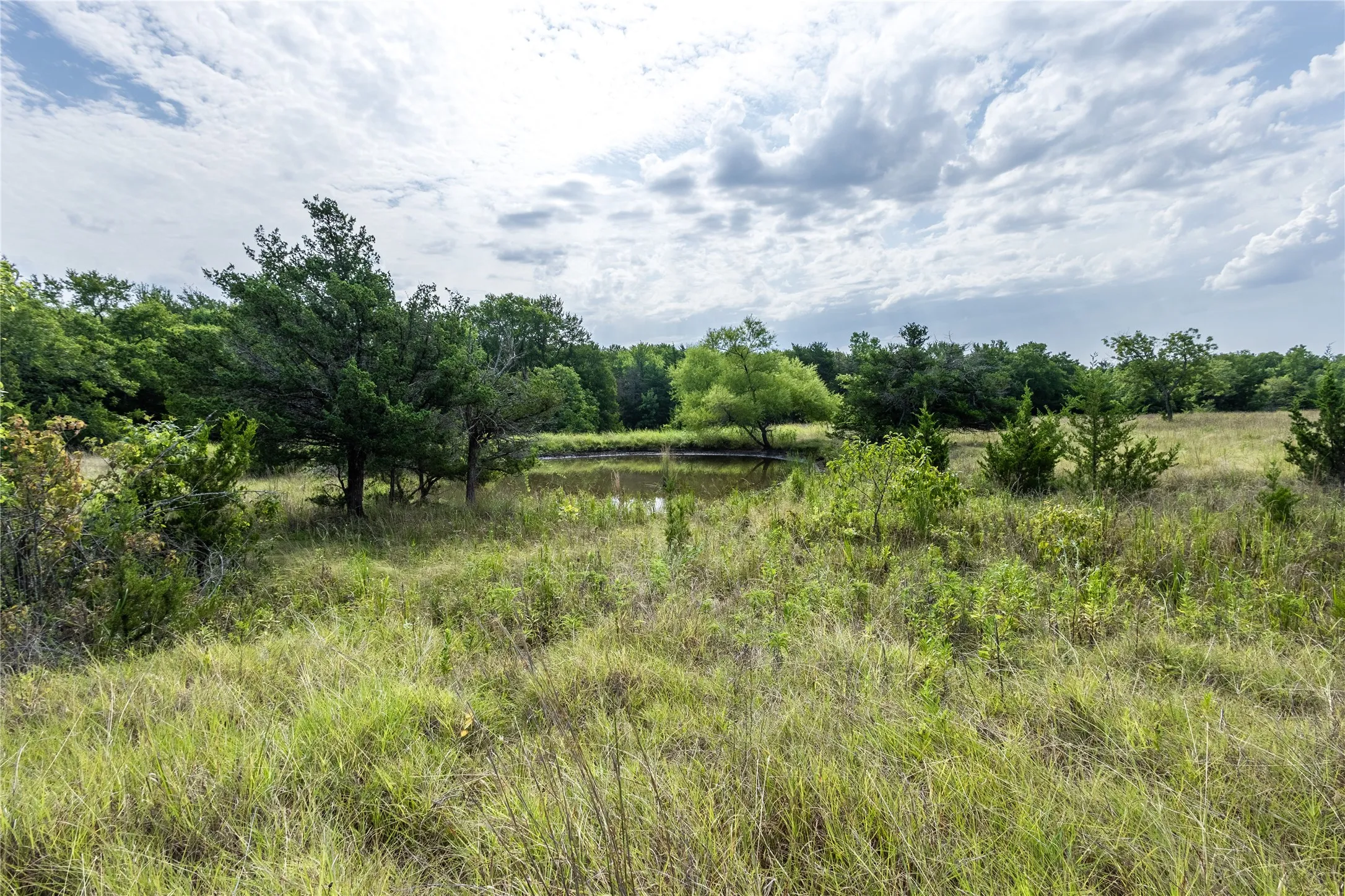 Ranch For Sale in Fannin County , 1966 County Road 2980, Windom, Texas 75492, 0, 0, Garage spaces, 0 Sqft, built in 1979, mls#21195318, Real Estate Agent in Windom, Homes For Sale in Fannin county, Homes For Sale in Windom, Realtor in Windom Texas, Real Estate Brokerage Independent Realty Texas, Luminita Cordes Realtor
