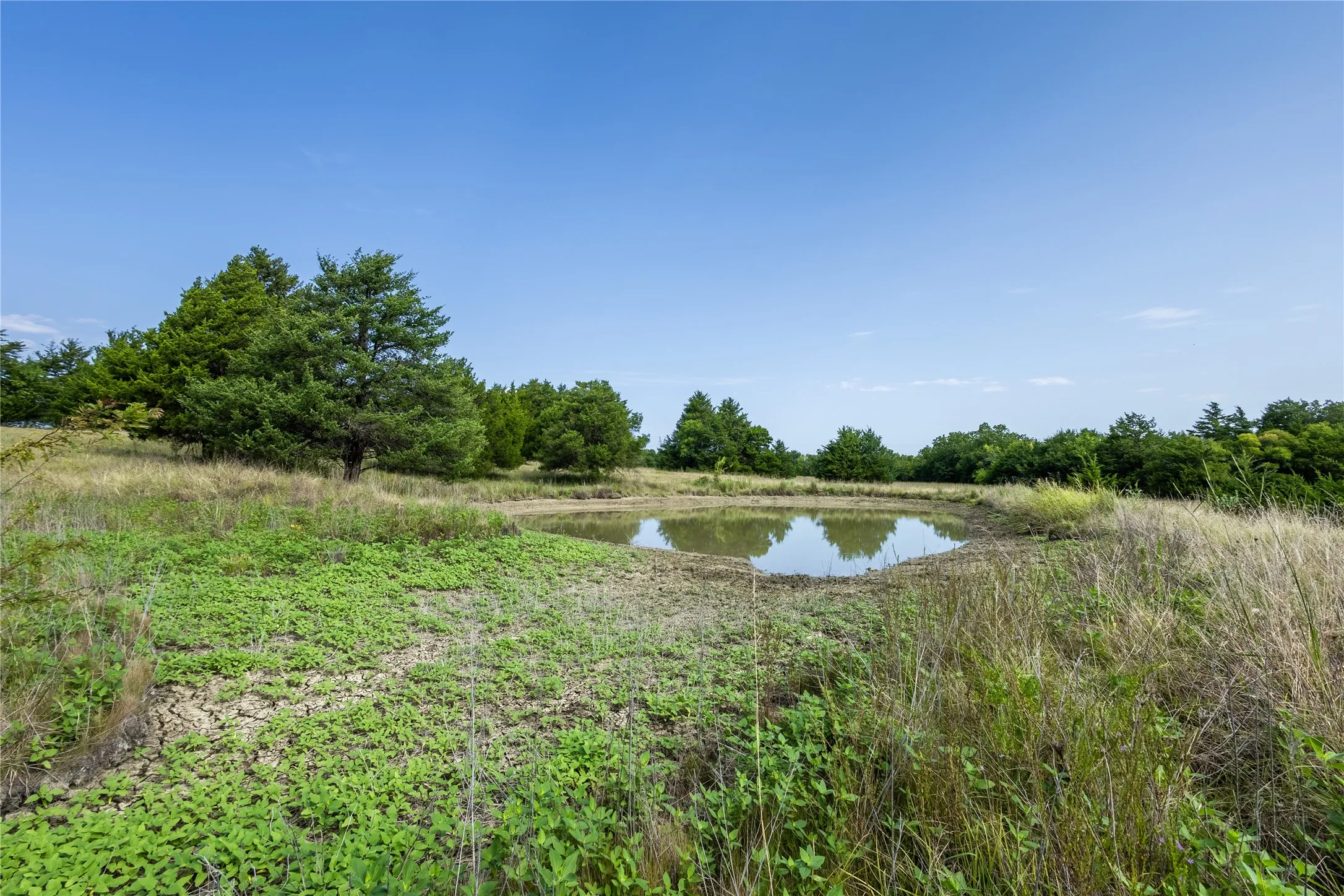 Ranch For Sale in Fannin County , 1966 County Road 2980, Windom, Texas 75492, 0, 0, Garage spaces, 0 Sqft, built in 1979, mls#21195318, Real Estate Agent in Windom, Homes For Sale in Fannin county, Homes For Sale in Windom, Realtor in Windom Texas, Real Estate Brokerage Independent Realty Texas, Luminita Cordes Realtor