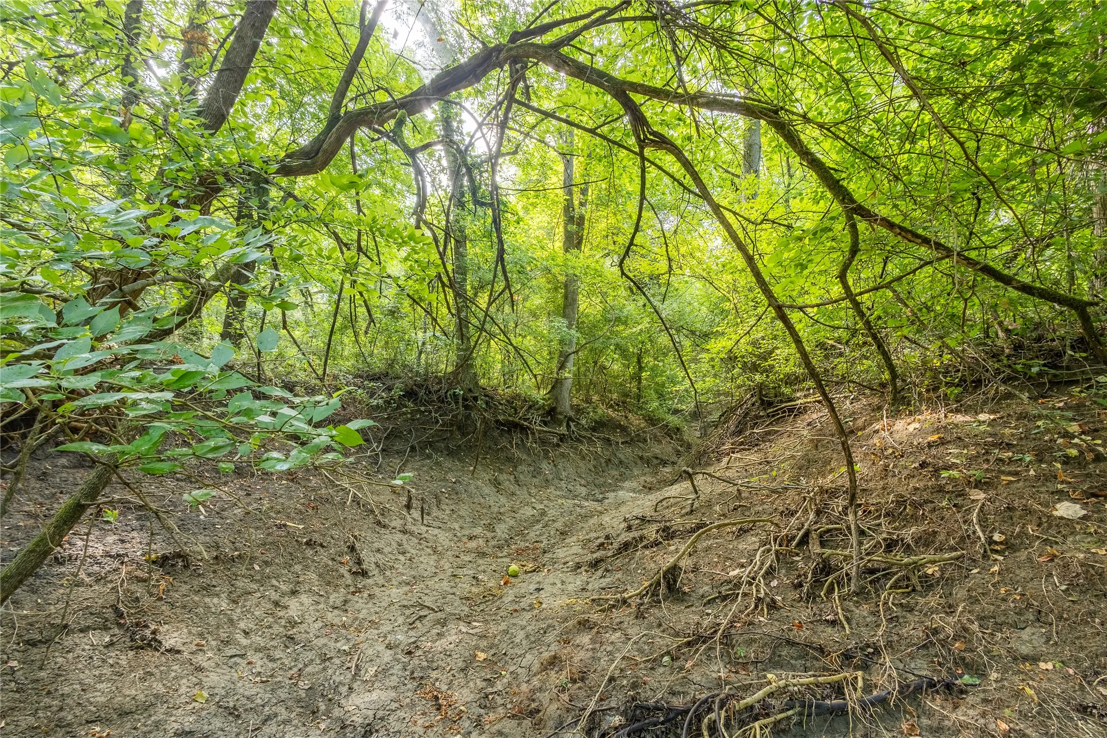 Creek