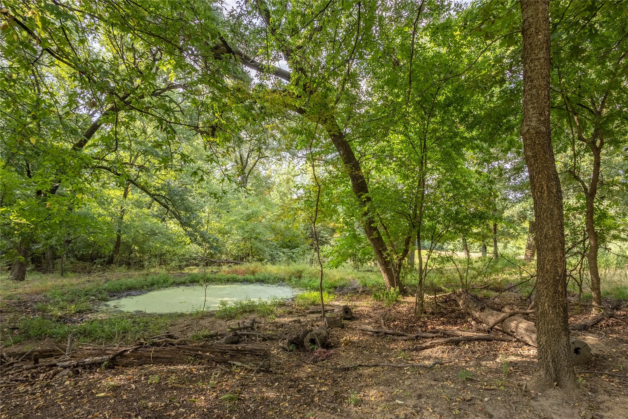 Ranch For Sale in Fannin County , 1966 County Road 2980, Windom, Texas 75492, 0, 0, Garage spaces, 0 Sqft, built in 1979, mls#21195318, Real Estate Agent in Windom, Homes For Sale in Fannin county, Homes For Sale in Windom, Realtor in Windom Texas, Real Estate Brokerage Independent Realty Texas, Luminita Cordes Realtor
