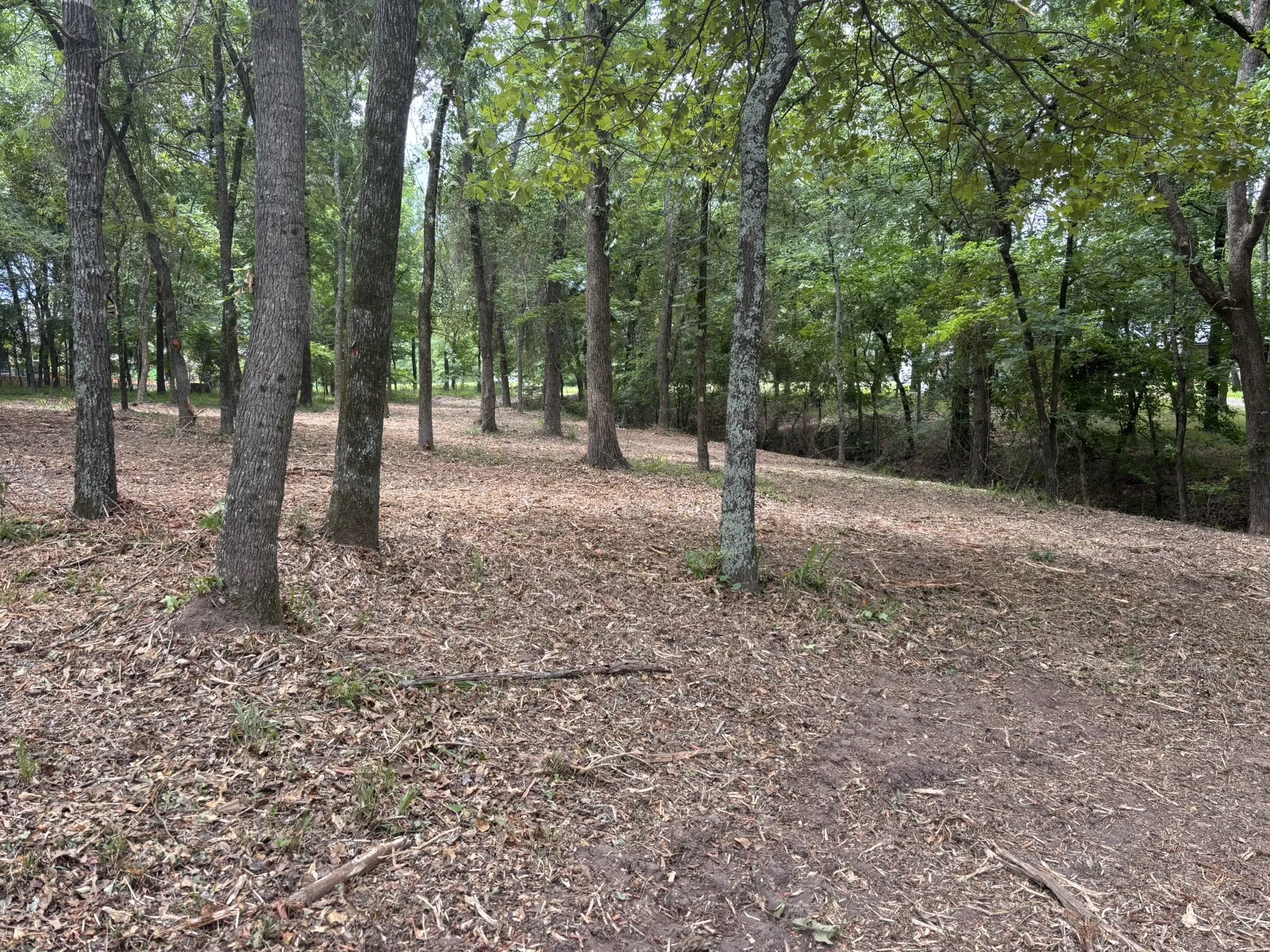 Unimproved Land For Sale in Wood County , TBD CR 1503, Alba, Texas 75410, 0, 0, Garage spaces, 0 Sqft, built in 0, mls#21195081, Real Estate Agent in Alba, Homes For Sale in Wood county, Homes For Sale in Alba, Realtor in Alba Texas, Real Estate Brokerage Independent Realty Texas, Luminita Cordes Realtor