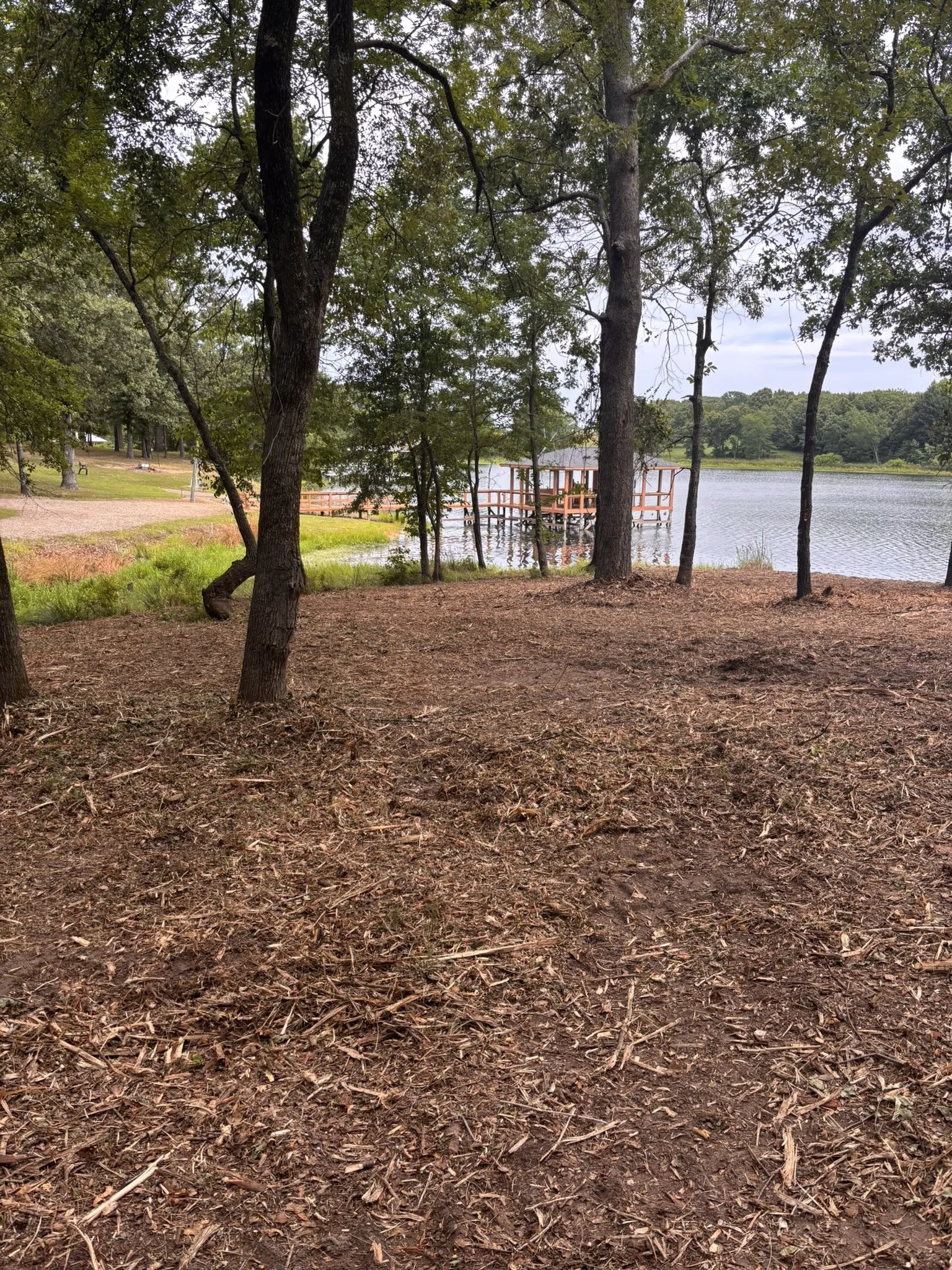 Unimproved Land For Sale in Wood County , TBD CR 1503, Alba, Texas 75410, 0, 0, Garage spaces, 0 Sqft, built in 0, mls#21195081, Real Estate Agent in Alba, Homes For Sale in Wood county, Homes For Sale in Alba, Realtor in Alba Texas, Real Estate Brokerage Independent Realty Texas, Luminita Cordes Realtor