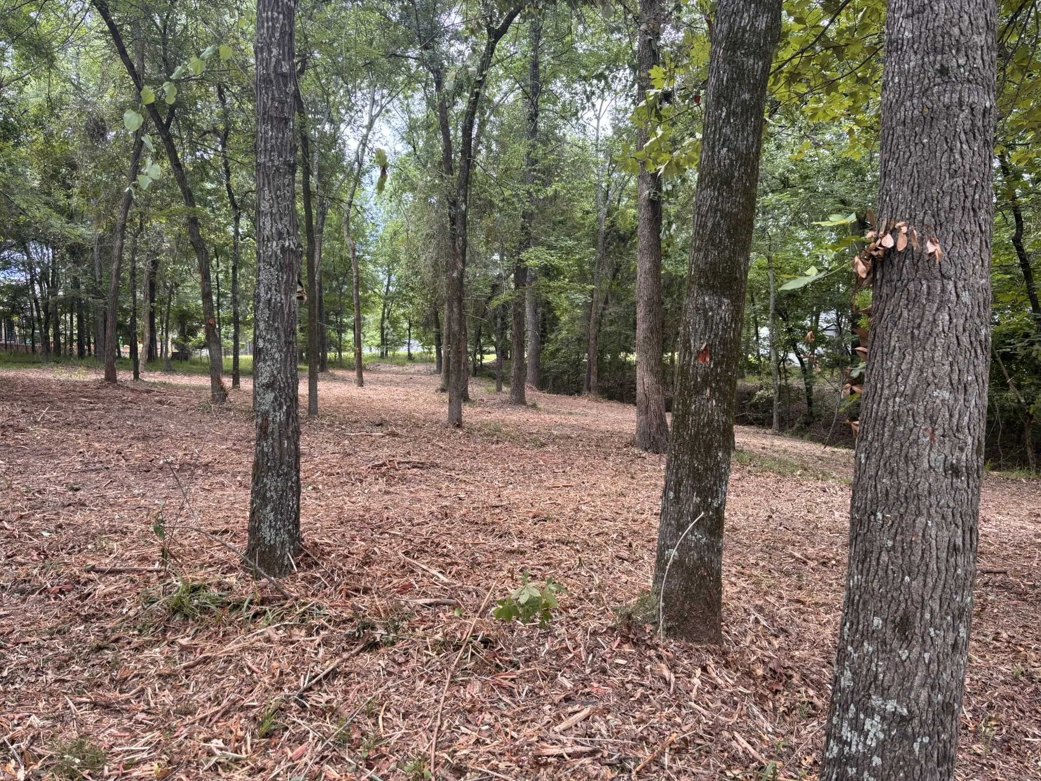 View of the Mid area of the Lot